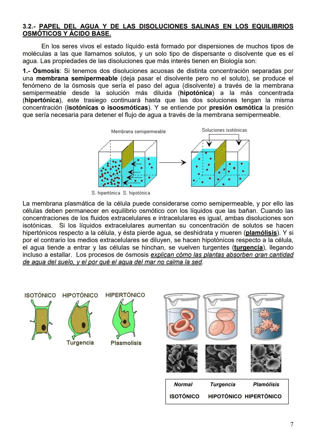 # TEMA 1: LOS BIOELEMENTOS, EL AGUA Y LAS SALES MINERALES
1.- LOS ENLACES QUÍMICOS Y SU IMPORTANCIA BIOLÓGICA.
De todos los elementos que e