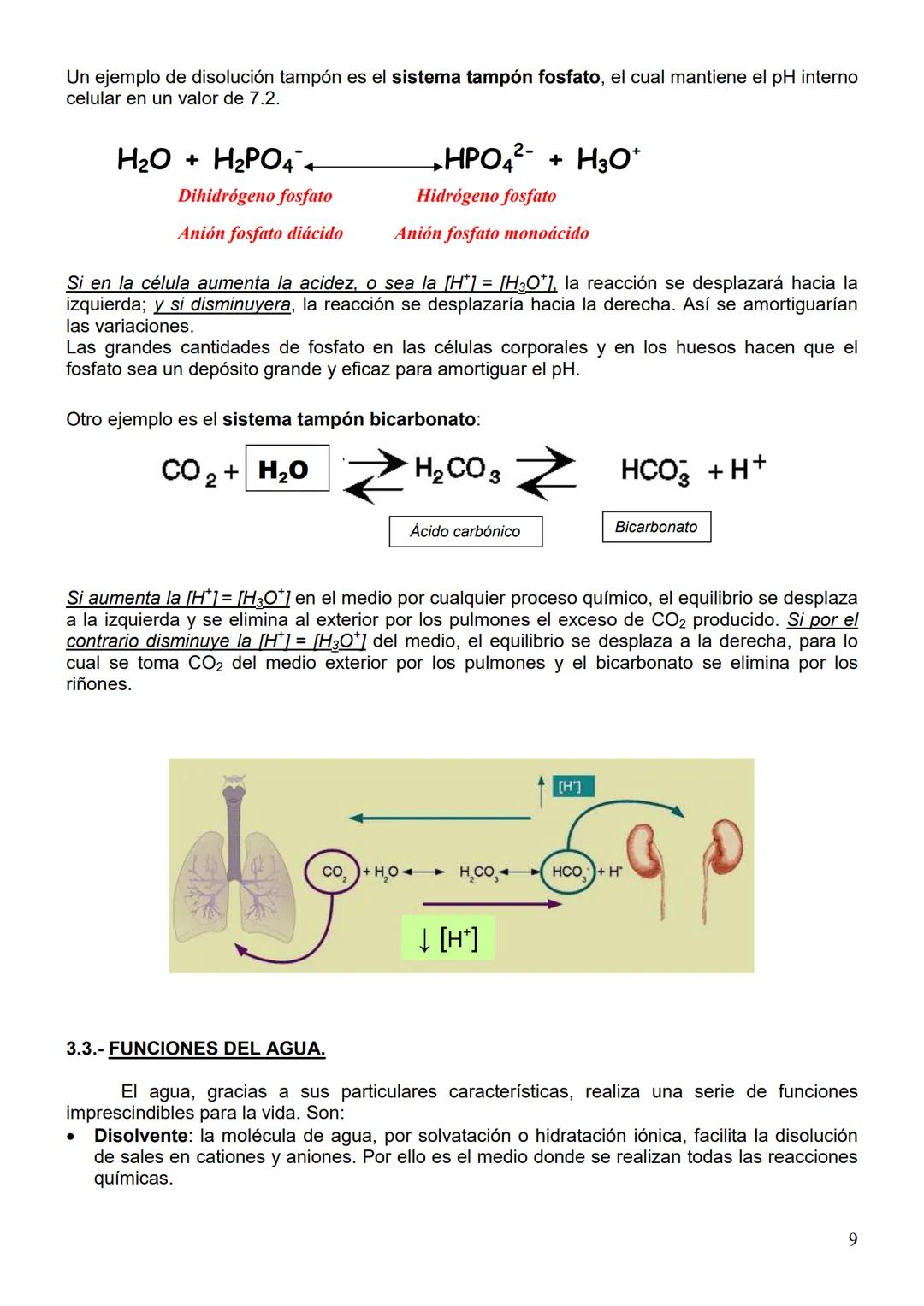 # TEMA 1: LOS BIOELEMENTOS, EL AGUA Y LAS SALES MINERALES
1.- LOS ENLACES QUÍMICOS Y SU IMPORTANCIA BIOLÓGICA.
De todos los elementos que e
