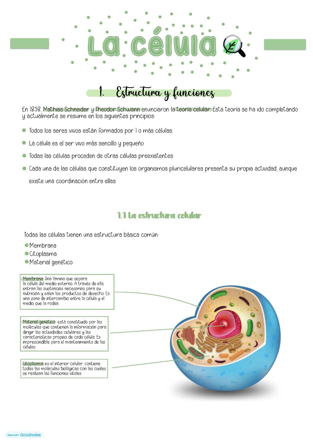 La célula 4º ESO