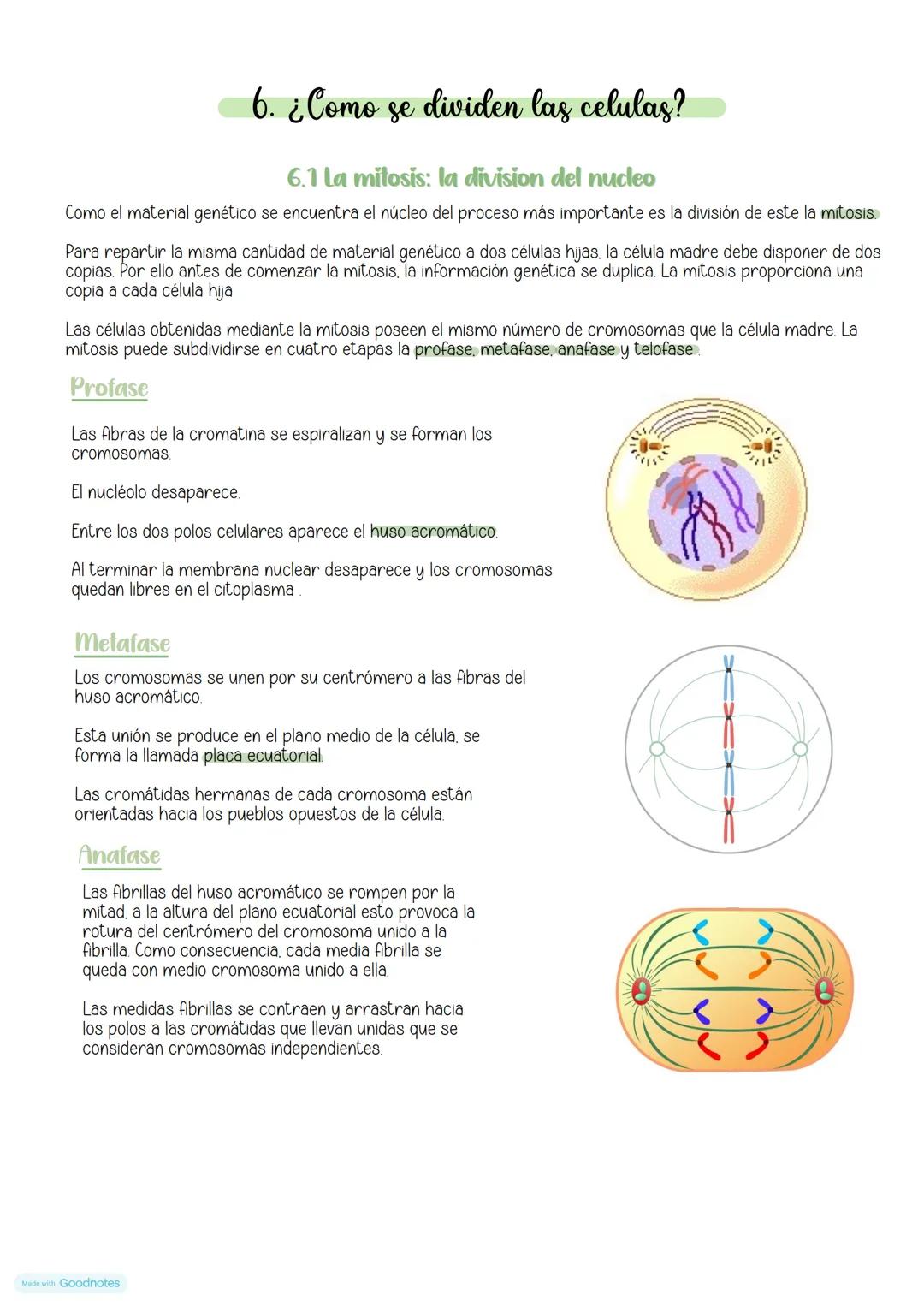 --- OCR Start ---
La celula
1. Estructura y funciones
En 1838. Mathias Schneider y Theodor Schwann enunciaron la teoría celular. Esta teoría