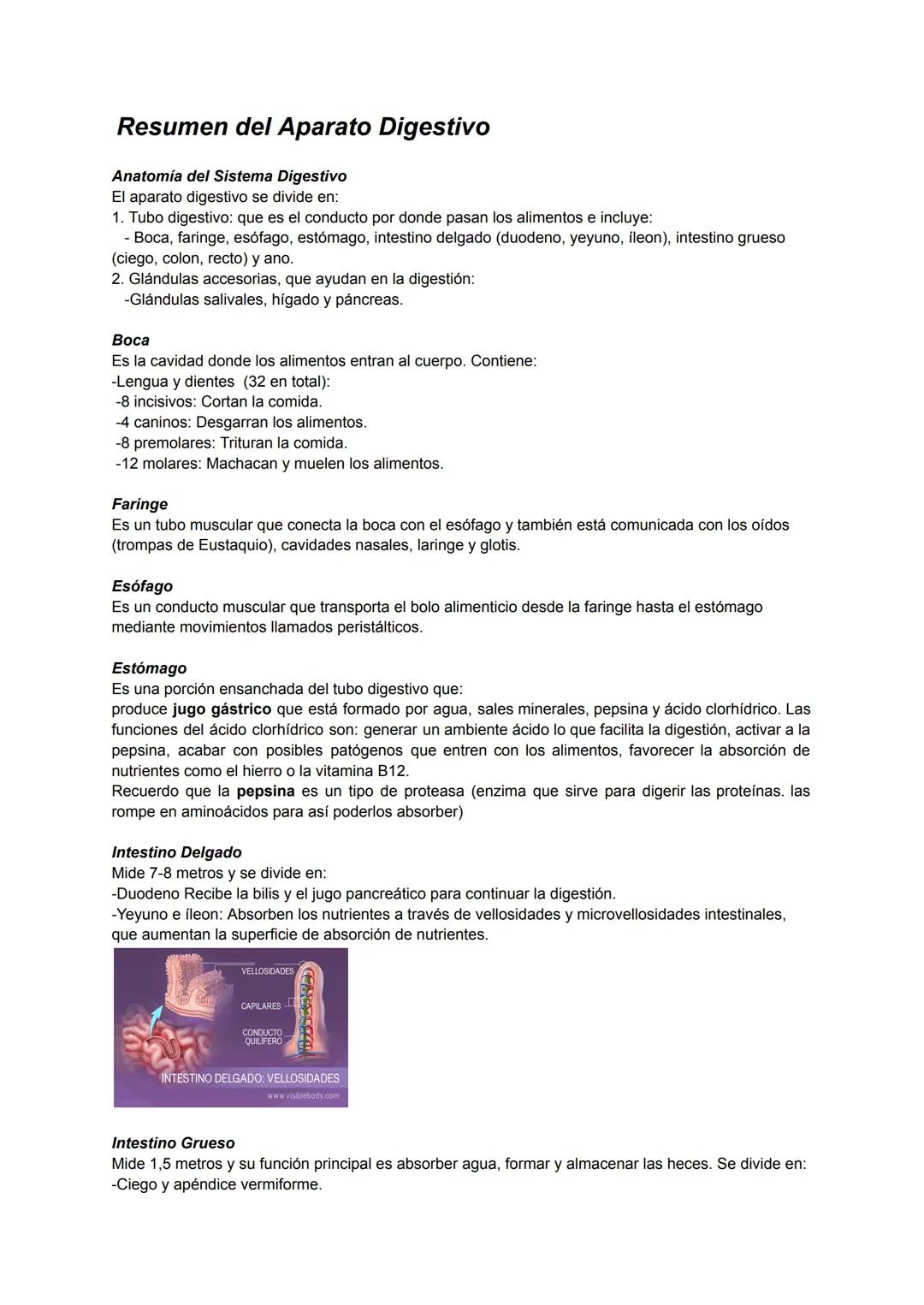 # Resumen del Aparato Digestivo
Anatomía del Sistema Digestivo
El aparato digestivo se divide en:
1. Tubo digestivo: que es el conducto por