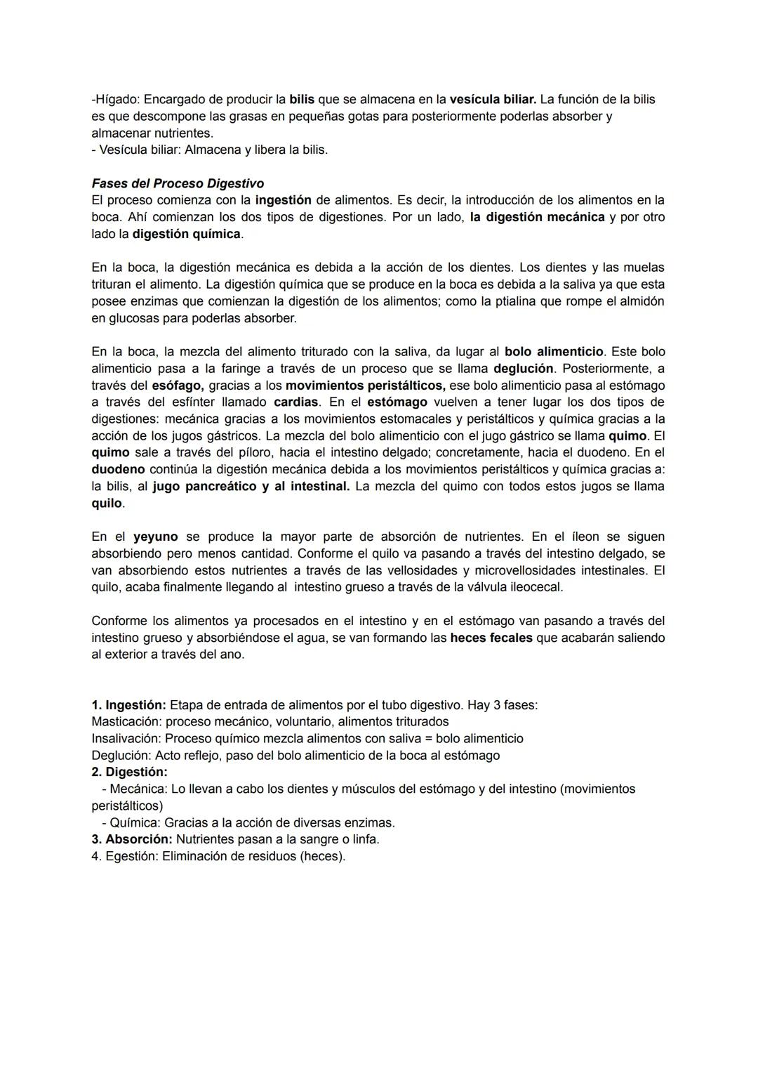# Resumen del Aparato Digestivo
Anatomía del Sistema Digestivo
El aparato digestivo se divide en:
1. Tubo digestivo: que es el conducto por