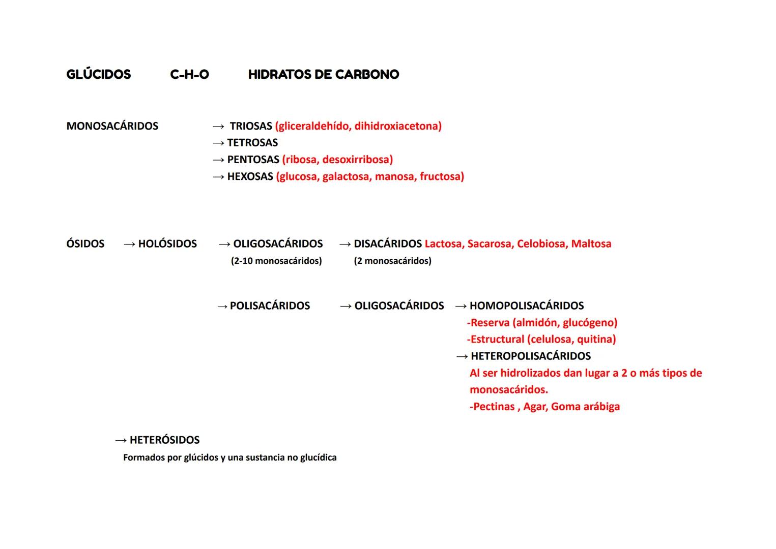 GLÚCIDOS C-H-O HIDRATOS DE CARBΟΝΟ
MONOSACÁRIDOS
→ TRIOSAS (gliceraldehído, dihidroxiacetona)
→ TETROSAS
→ PENTOSAS (ribosa, desoxirribosa)
