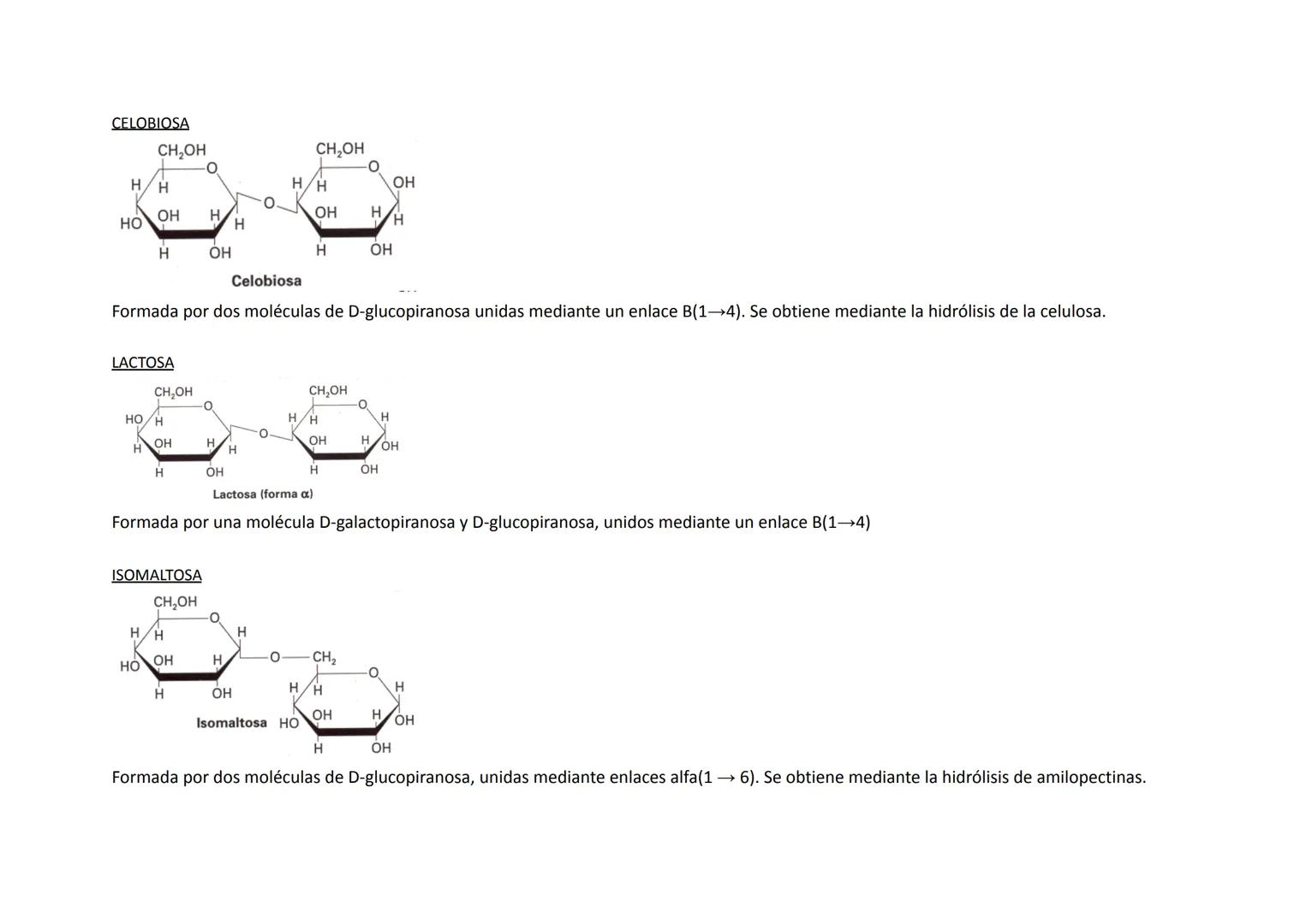 GLÚCIDOS C-H-O HIDRATOS DE CARBΟΝΟ
MONOSACÁRIDOS
→ TRIOSAS (gliceraldehído, dihidroxiacetona)
→ TETROSAS
→ PENTOSAS (ribosa, desoxirribo