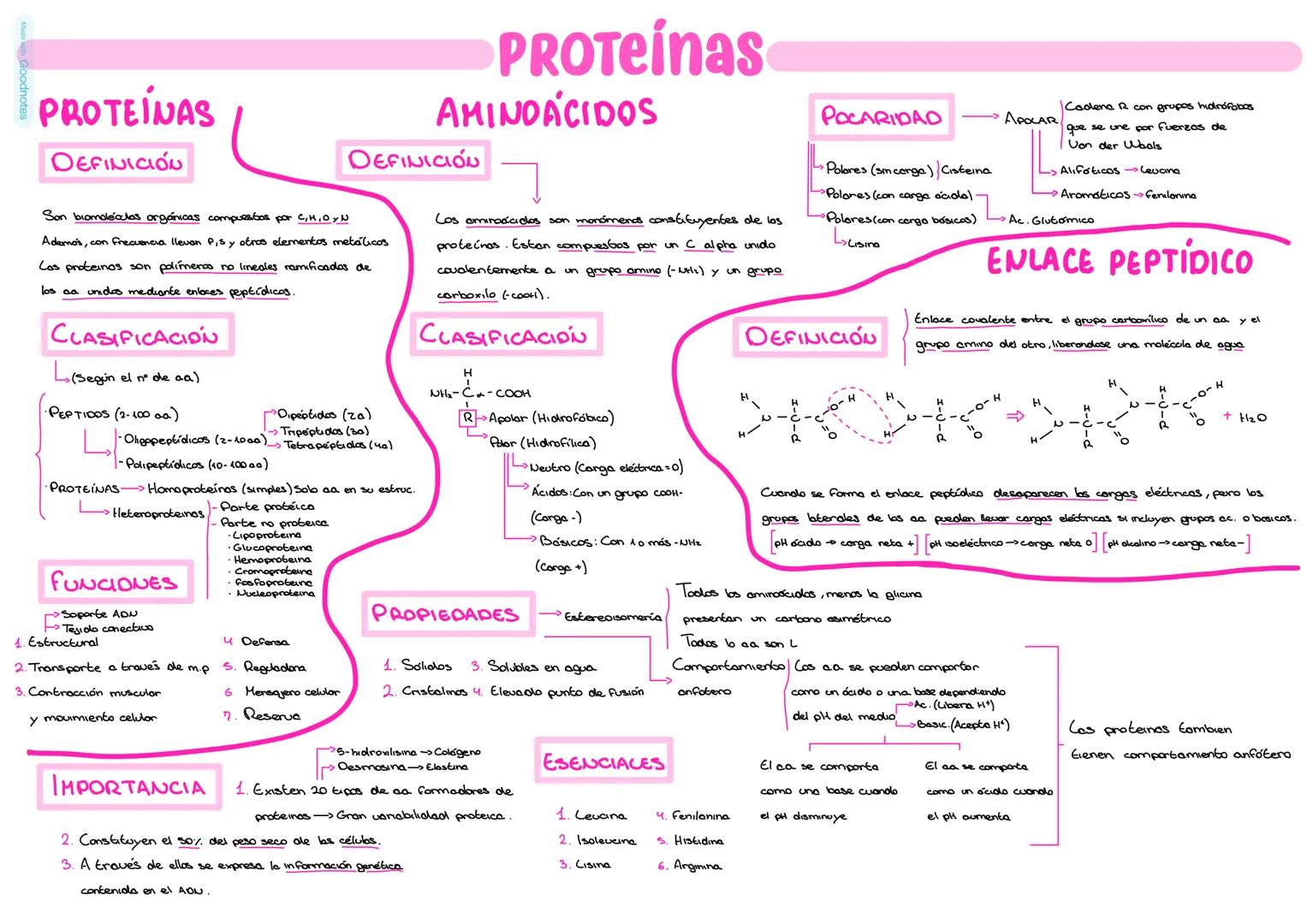 # PROTEÍNAS
# AMINOÁCIDOS
## DEFINICIÓN
Son biomoléculas orgánicas compuestas por C, H, O, N y S.
Además, con frecuencia llevan P, S y ot