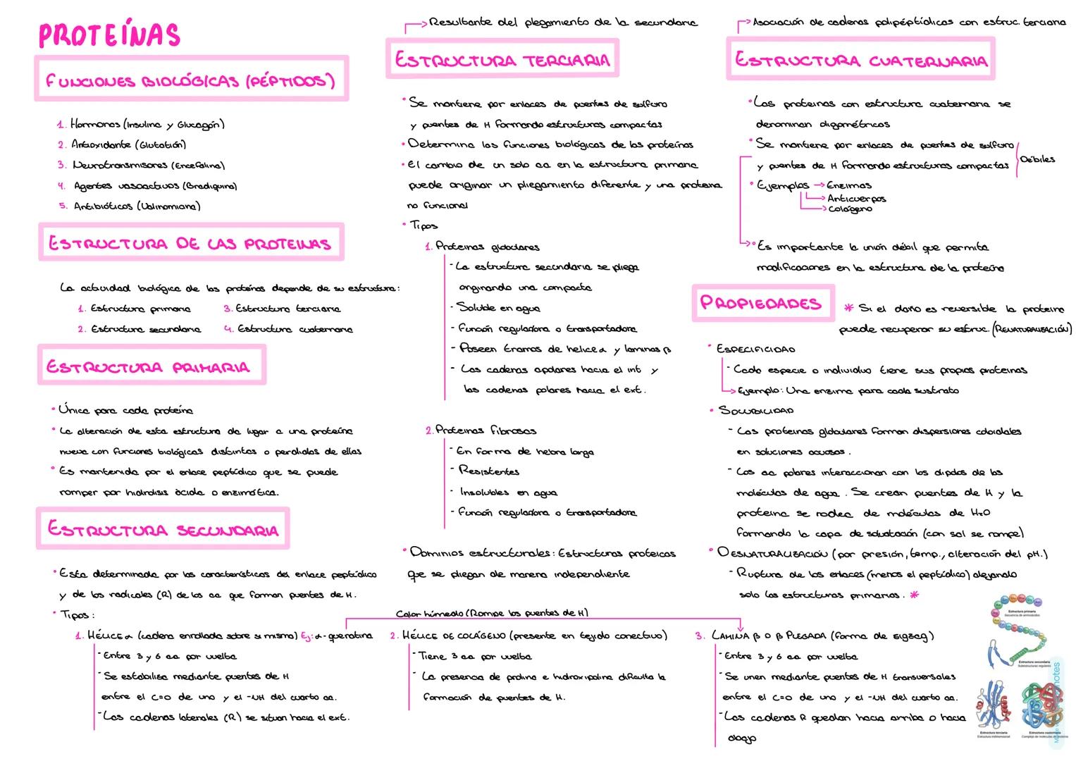 # PROTEÍNAS
# AMINOÁCIDOS
## DEFINICIÓN
Son biomoléculas orgánicas compuestas por C, H, O, N y S.
Además, con frecuencia llevan P, S y ot