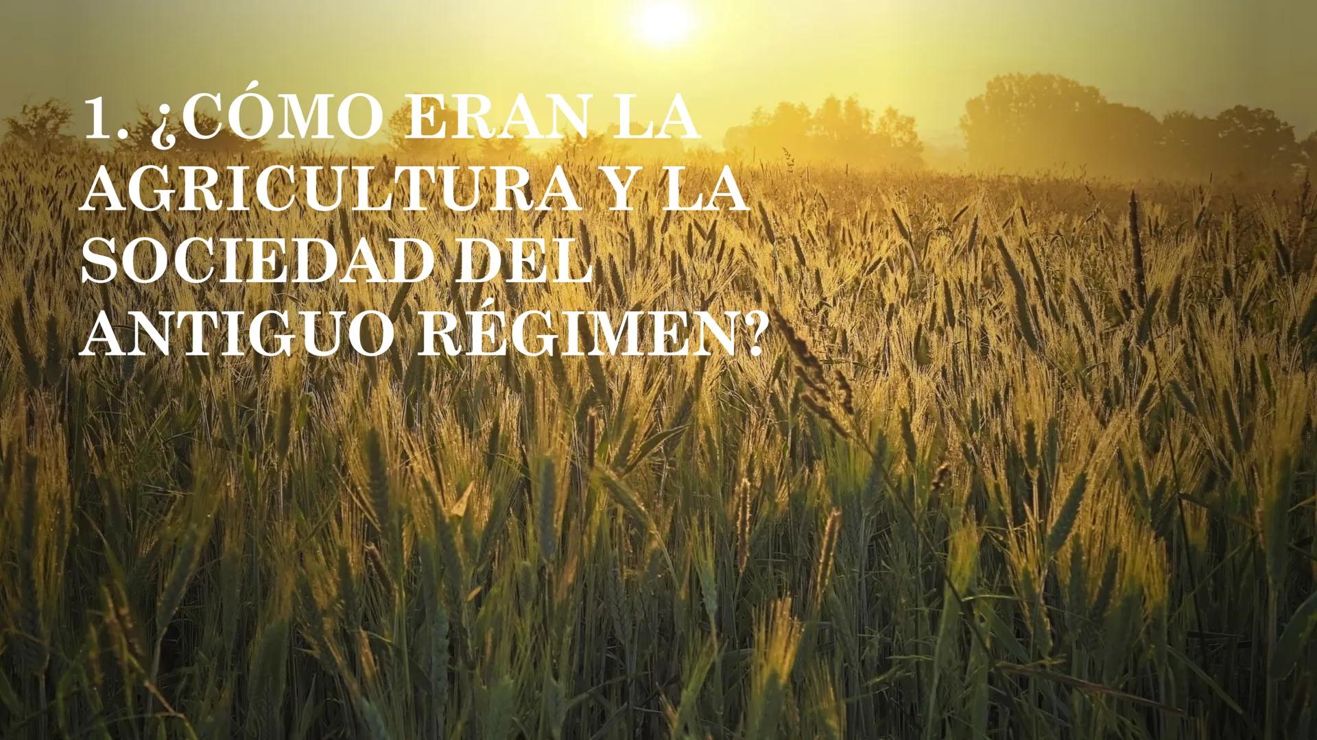 # TEMA 1 ¿QUÉ
FACTORES
HICIERON
ENTRAR EN
CRISIS AL
ANTIGUO
RÉGIMEN? ## ¿QUÉ ES EL
ANTIGUO
RÉGIMEN?
EL ANTIGUO RÉGIMEN es el sistema económ