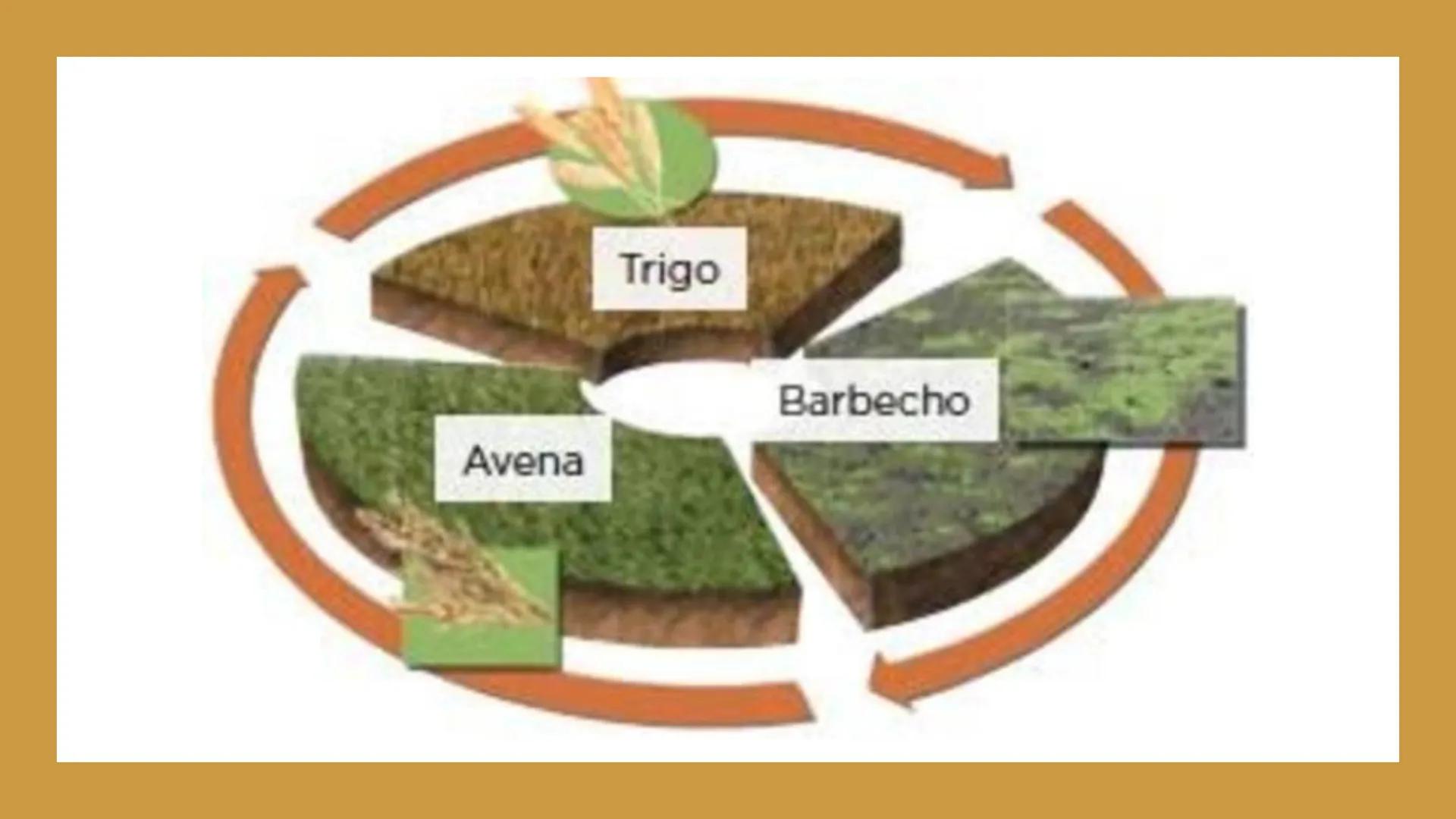 # TEMA 1 ¿QUÉ
FACTORES
HICIERON
ENTRAR EN
CRISIS AL
ANTIGUO
RÉGIMEN? ## ¿QUÉ ES EL
ANTIGUO
RÉGIMEN?
EL ANTIGUO RÉGIMEN es el sistema económ