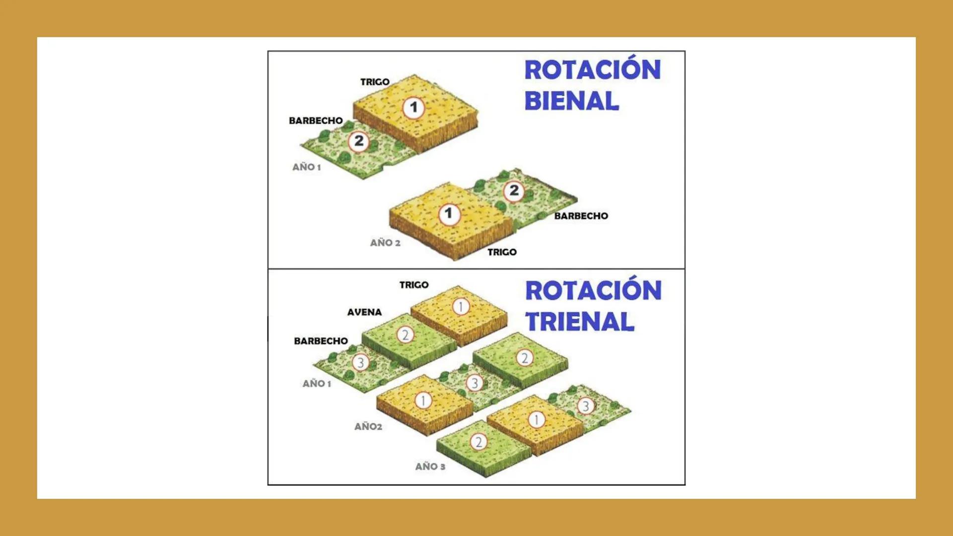 # TEMA 1 ¿QUÉ
FACTORES
HICIERON
ENTRAR EN
CRISIS AL
ANTIGUO
RÉGIMEN? ## ¿QUÉ ES EL
ANTIGUO
RÉGIMEN?
EL ANTIGUO RÉGIMEN es el sistema económ