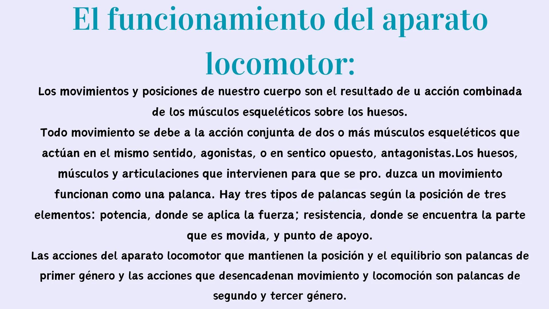 # EL APARATO
# LOCOMOTOR # ¿Qués es el aparato locomotor?
El aparato locomotor o sistema musculoesquelético permite el movimiento de nuestr