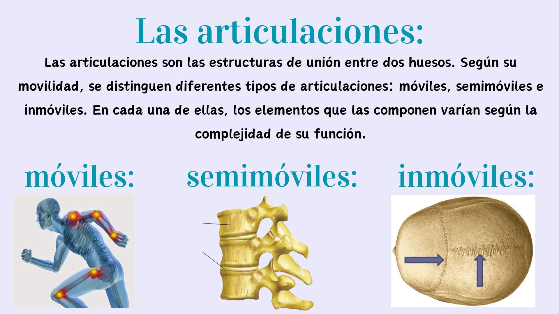 # EL APARATO
# LOCOMOTOR # ¿Qués es el aparato locomotor?
El aparato locomotor o sistema musculoesquelético permite el movimiento de nuestr