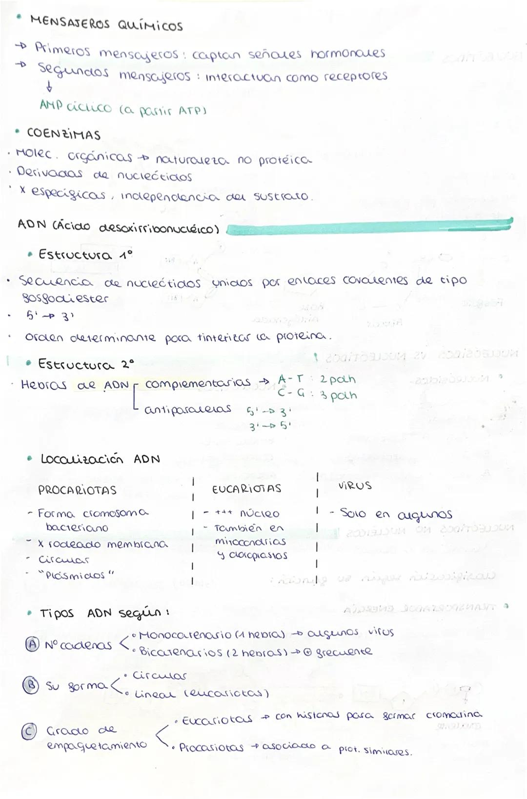 # BLOQUE A : BIOMOLÉCULAS
NUCLEOTIDOS
Son macromoléculas biológicas → almacenan, transmiten y expresan
ingo. genética
2 tipos $\begin{cas