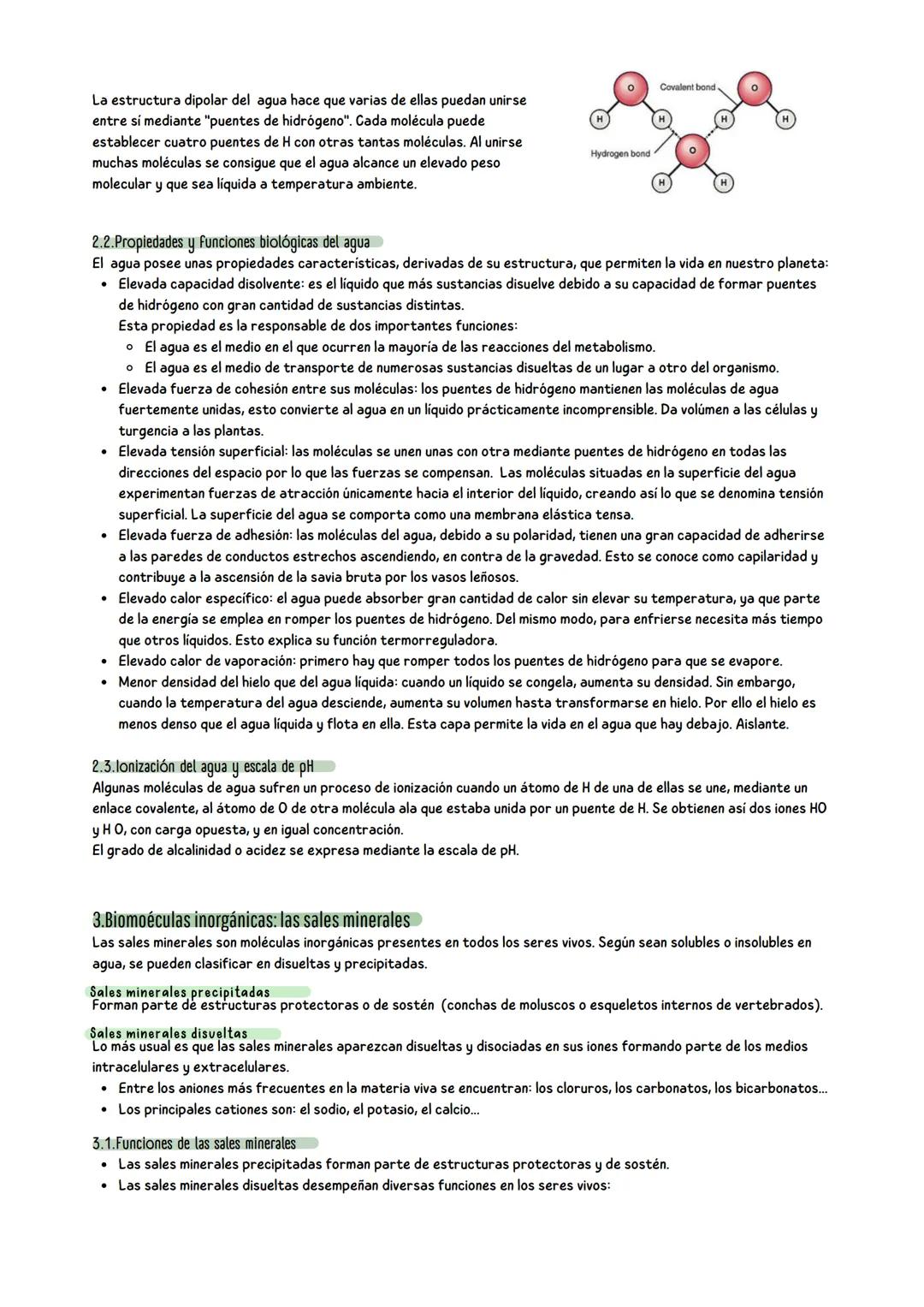 # Tema 1: Bioelementos y biomoléculas
1.Composición química de la materia viva: bioelementos y biomoléculas
La materia, en todos los estad