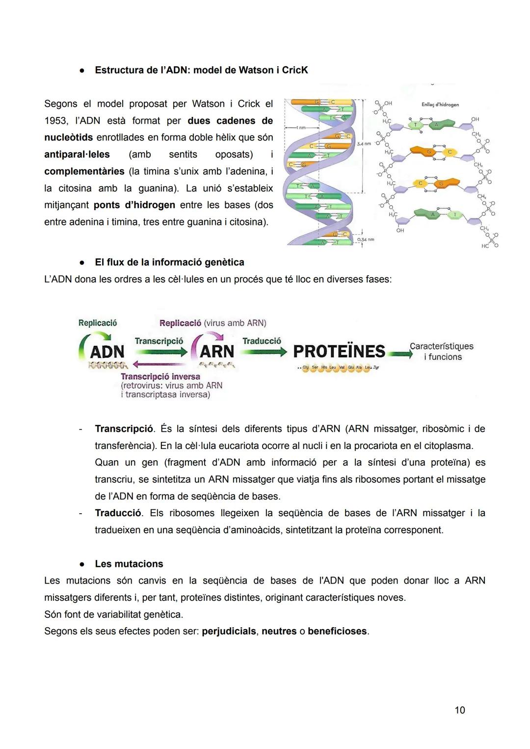 # INTRODUCCIÓ: LA
# UNITAT ESTRUCTURAL I
# FUNCIONAL DE LA VIDA
Sumari:
1. Nivells d'organització dels éssers vius
2. Composició quím