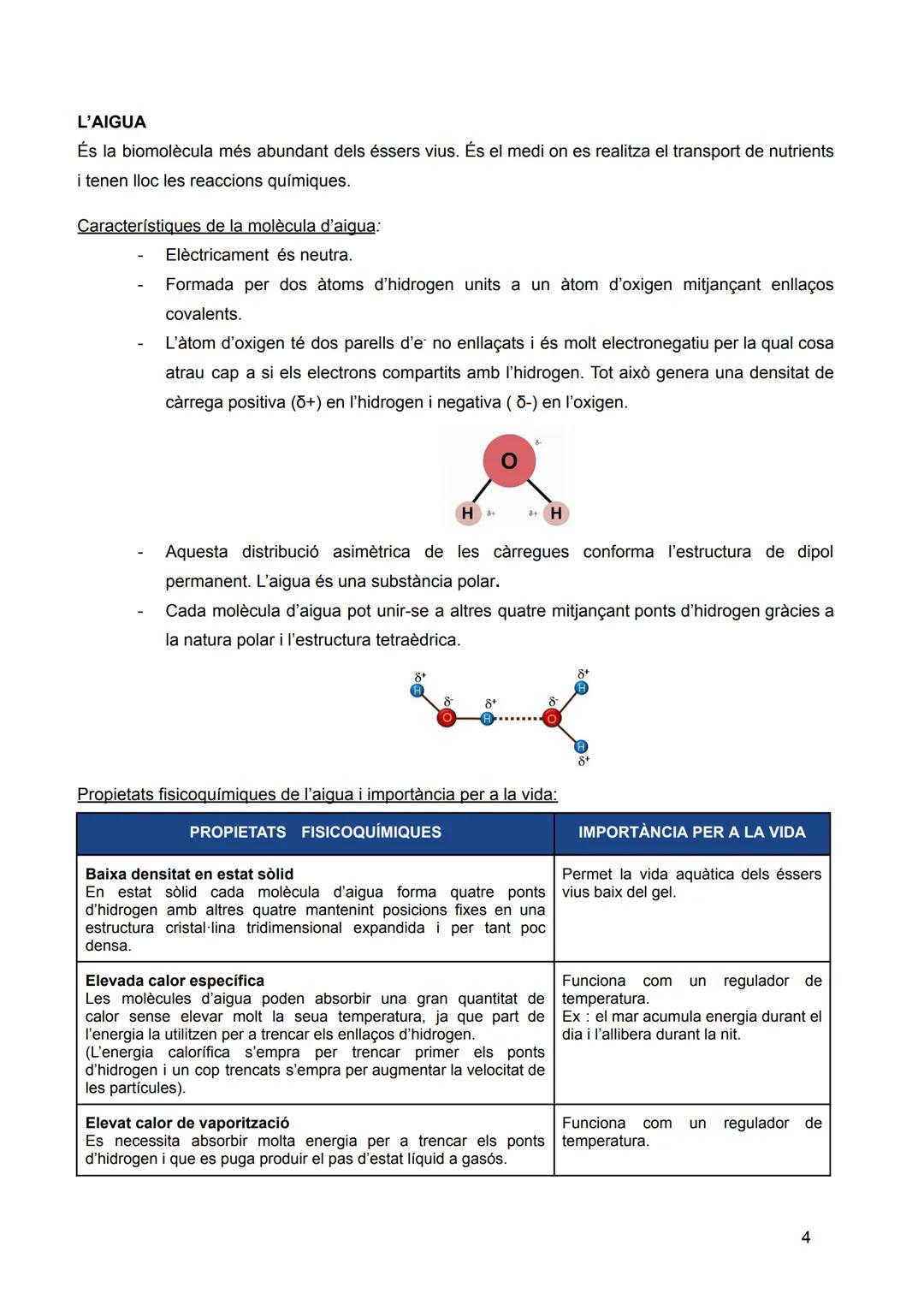 # INTRODUCCIÓ: LA
# UNITAT ESTRUCTURAL I
# FUNCIONAL DE LA VIDA
Sumari:
1. Nivells d'organització dels éssers vius
2. Composició quím