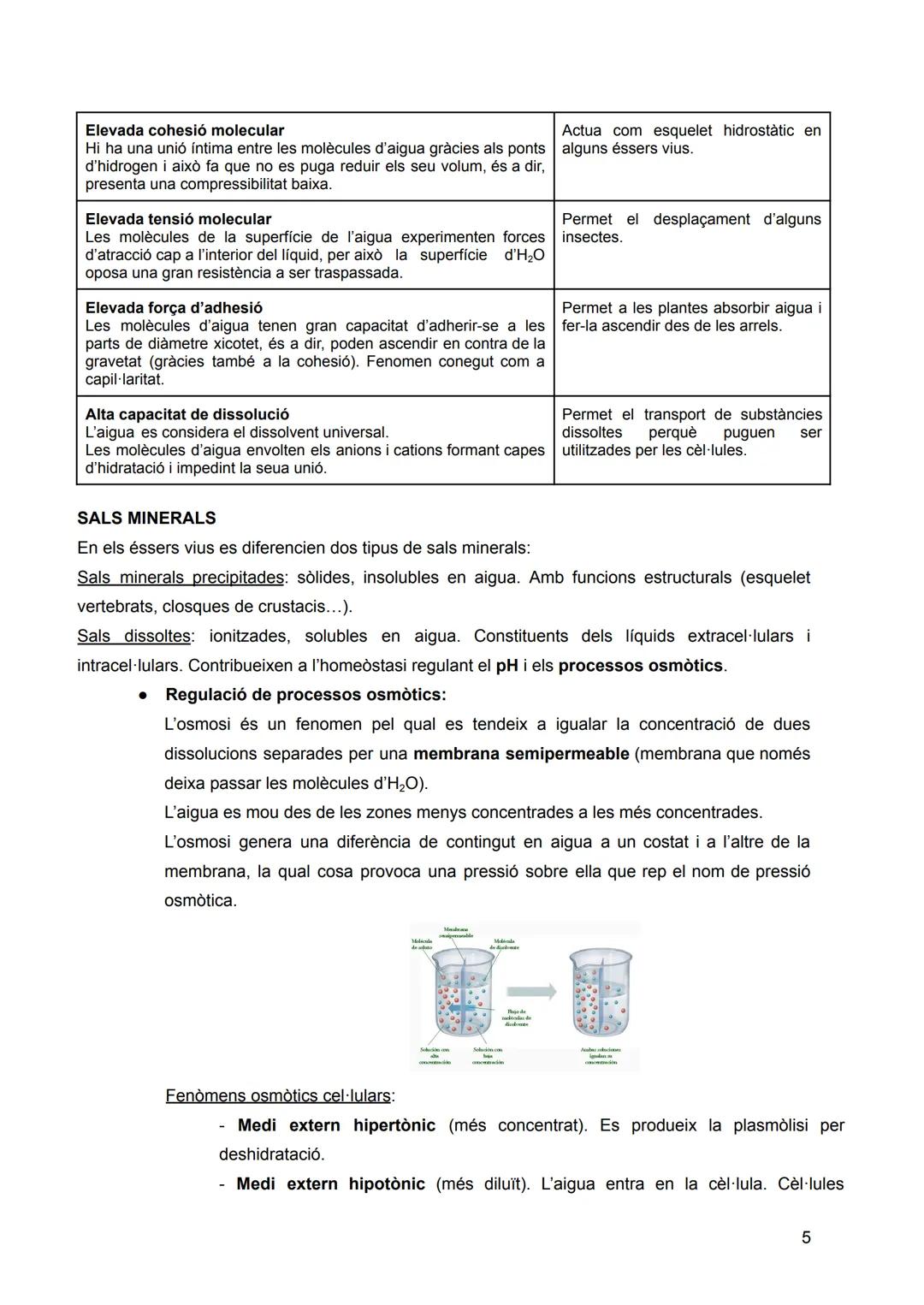 # INTRODUCCIÓ: LA
# UNITAT ESTRUCTURAL I
# FUNCIONAL DE LA VIDA
Sumari:
1. Nivells d'organització dels éssers vius
2. Composició quím