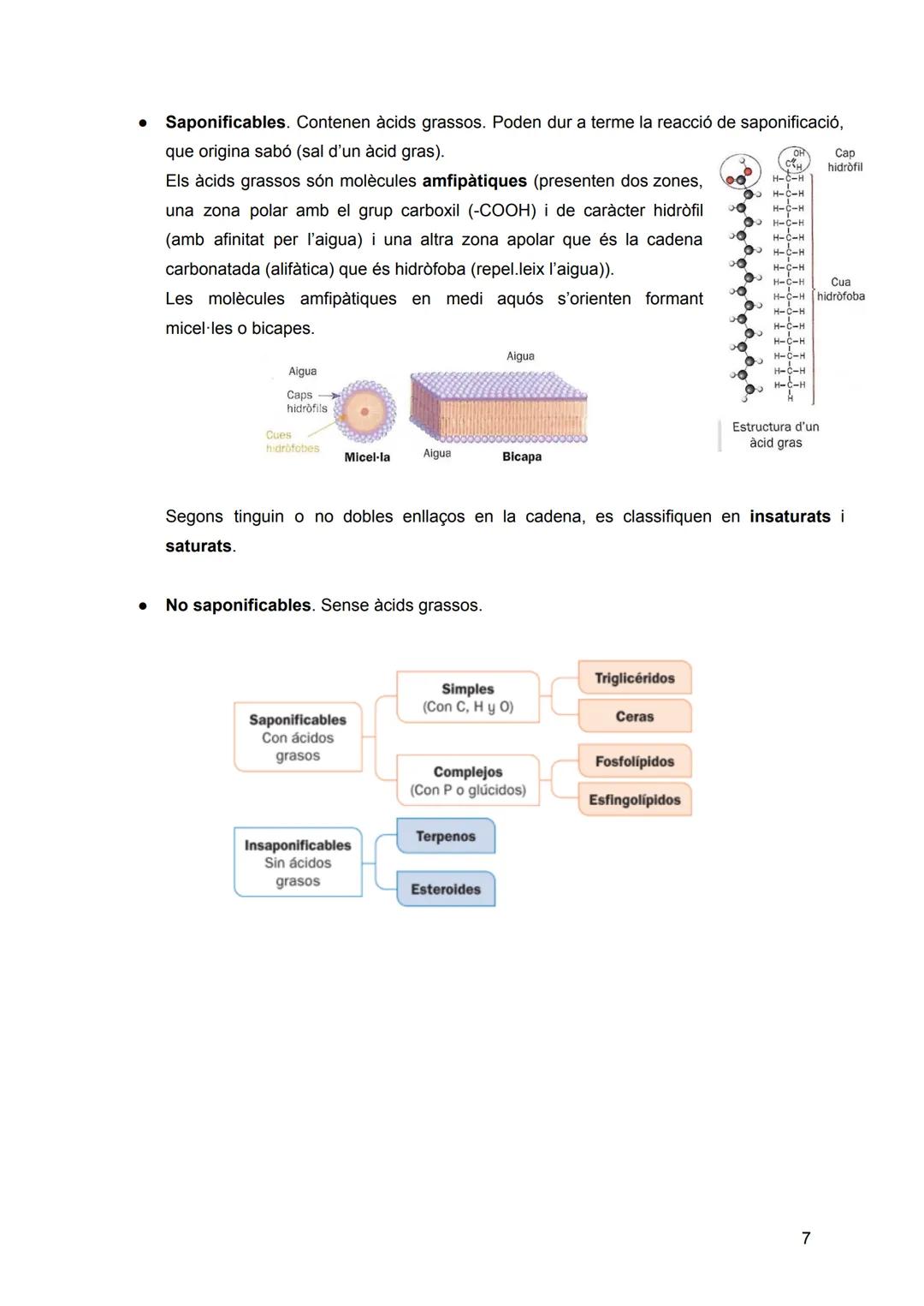 # INTRODUCCIÓ: LA
# UNITAT ESTRUCTURAL I
# FUNCIONAL DE LA VIDA
Sumari:
1. Nivells d'organització dels éssers vius
2. Composició quím