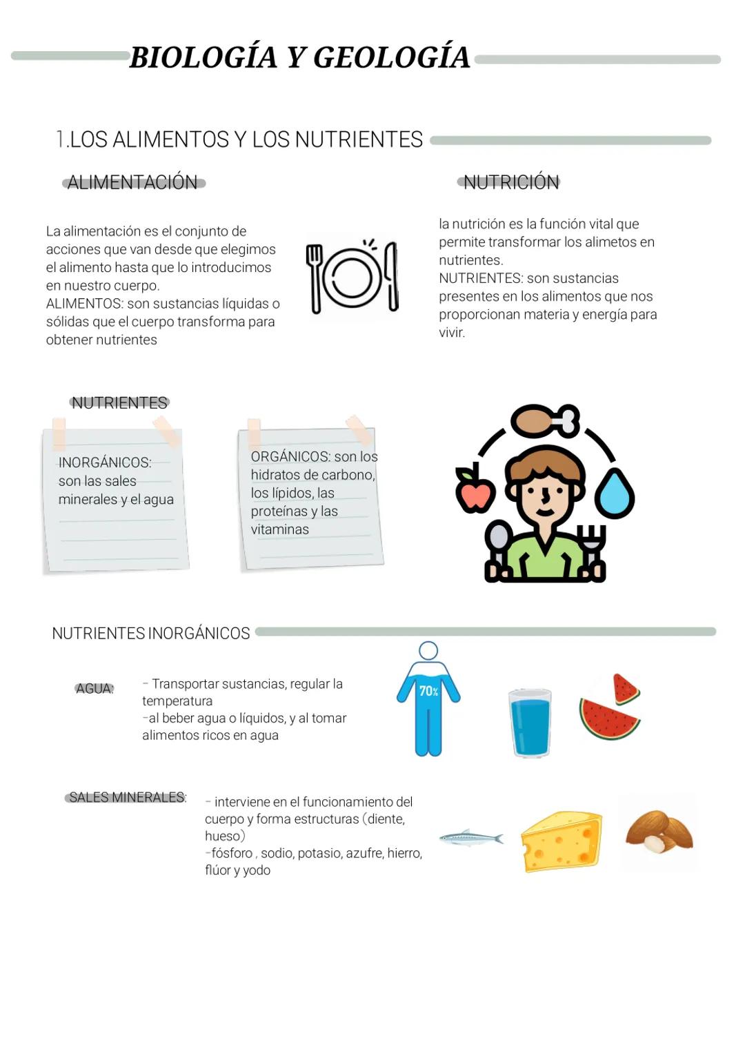 biología y geología TEMA 3 Title
Inotes # BIOLOGÍA Y GEOLOGÍA
1.LOS ALIMENTOS Y LOS NUTRIENTES
ALIMENTACIÓN
La alimentación es el conjun