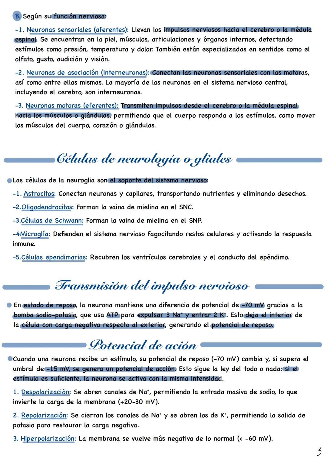# Fisiologia del
Sistema nervioso
Tejido nervioso
El tejido nervioso está formado por dos tipos principales de células:
-Neuronas: Son cél