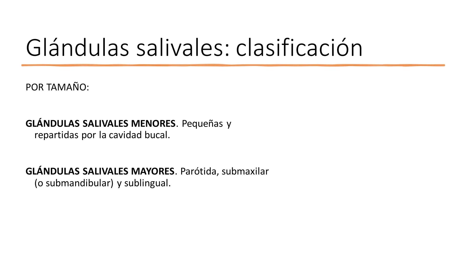 UD3 Procesos en los que interviene el
aparato estomatognático
Anatomía y fisiología de la salivación y la deglución # Glándulas
salivales
T