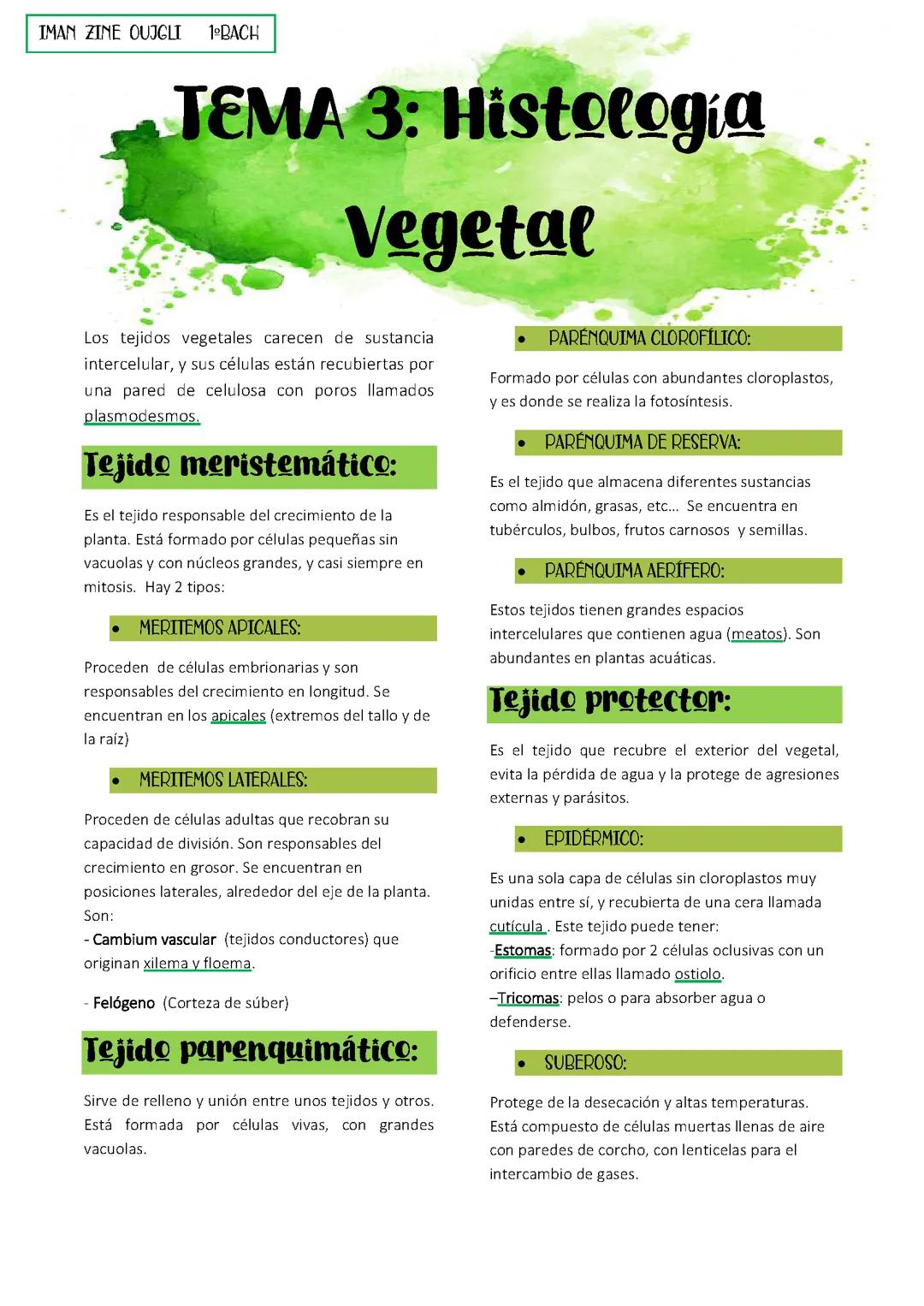 Histología vegetal
