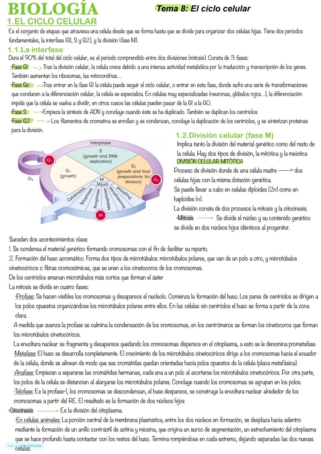 --- OCR Start ---
BIOLOGIA
1.EL CICLO CELULAR
Tema 8: El ciclo celular
Es el conjunto de etapas que atraviesa una célula desde que se forma