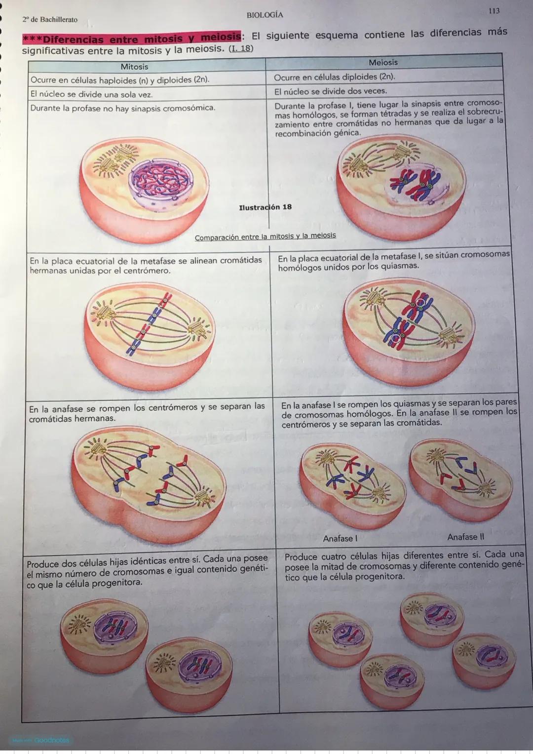--- OCR Start ---
BIOLOGIA
1.EL CICLO CELULAR
Tema 8: El ciclo celular
Es el conjunto de etapas que atraviesa una célula desde que se forma