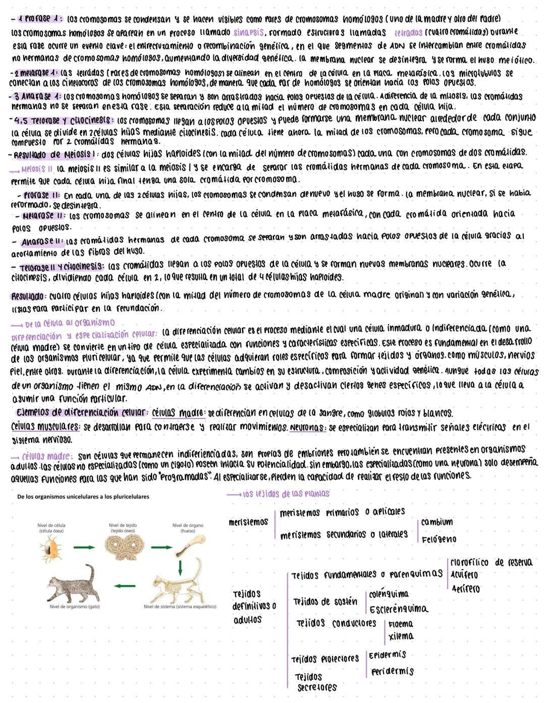 # Michoorganismos y formas acelulah
MICROORGANISMOS: CONCEPTOS Y DIVERSIDAD
(Os microorganismos son un grupo de seres vivos que solo puede