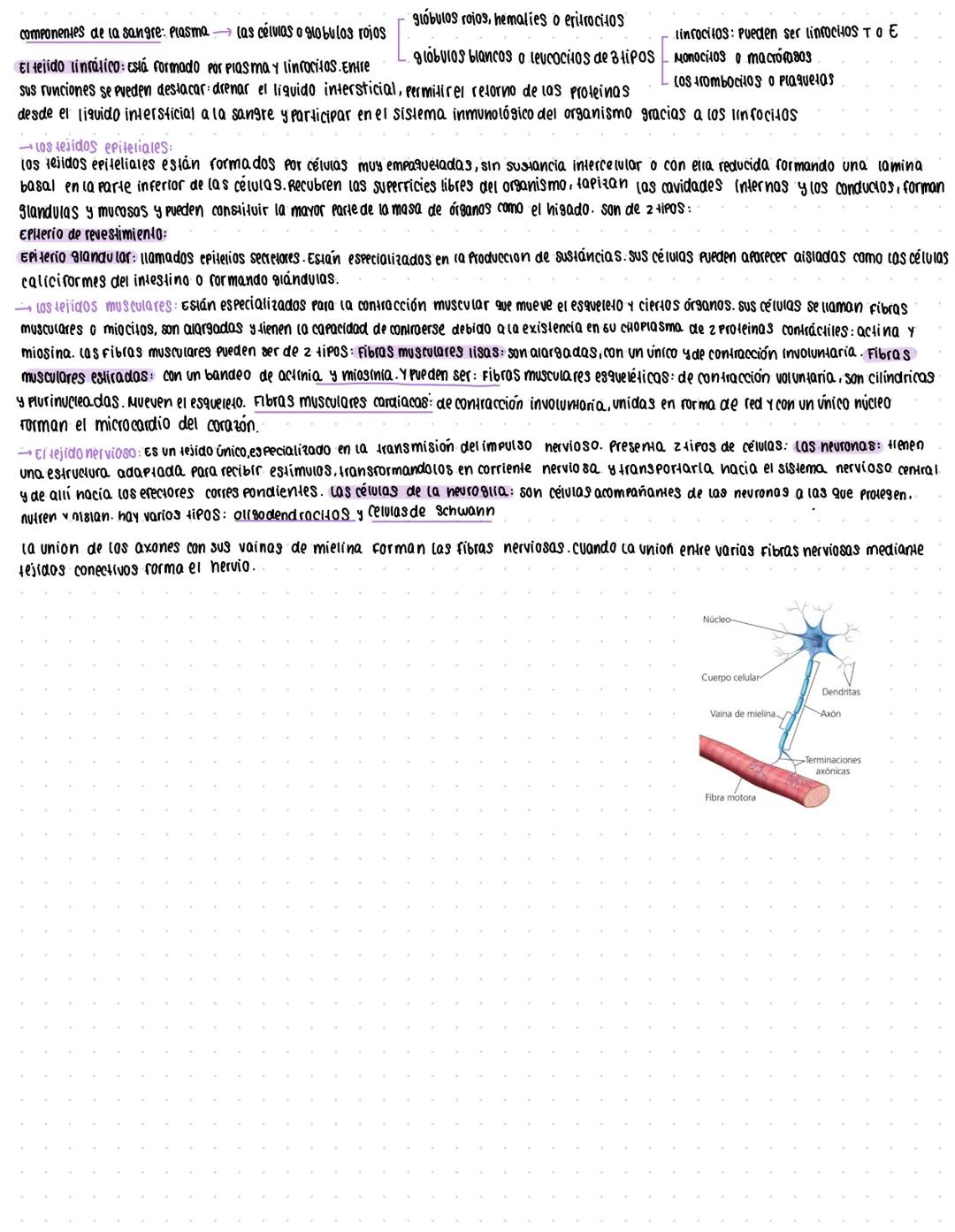 # Michoorganismos y formas acelulah
MICROORGANISMOS: CONCEPTOS Y DIVERSIDAD
(Os microorganismos son un grupo de seres vivos que solo puede