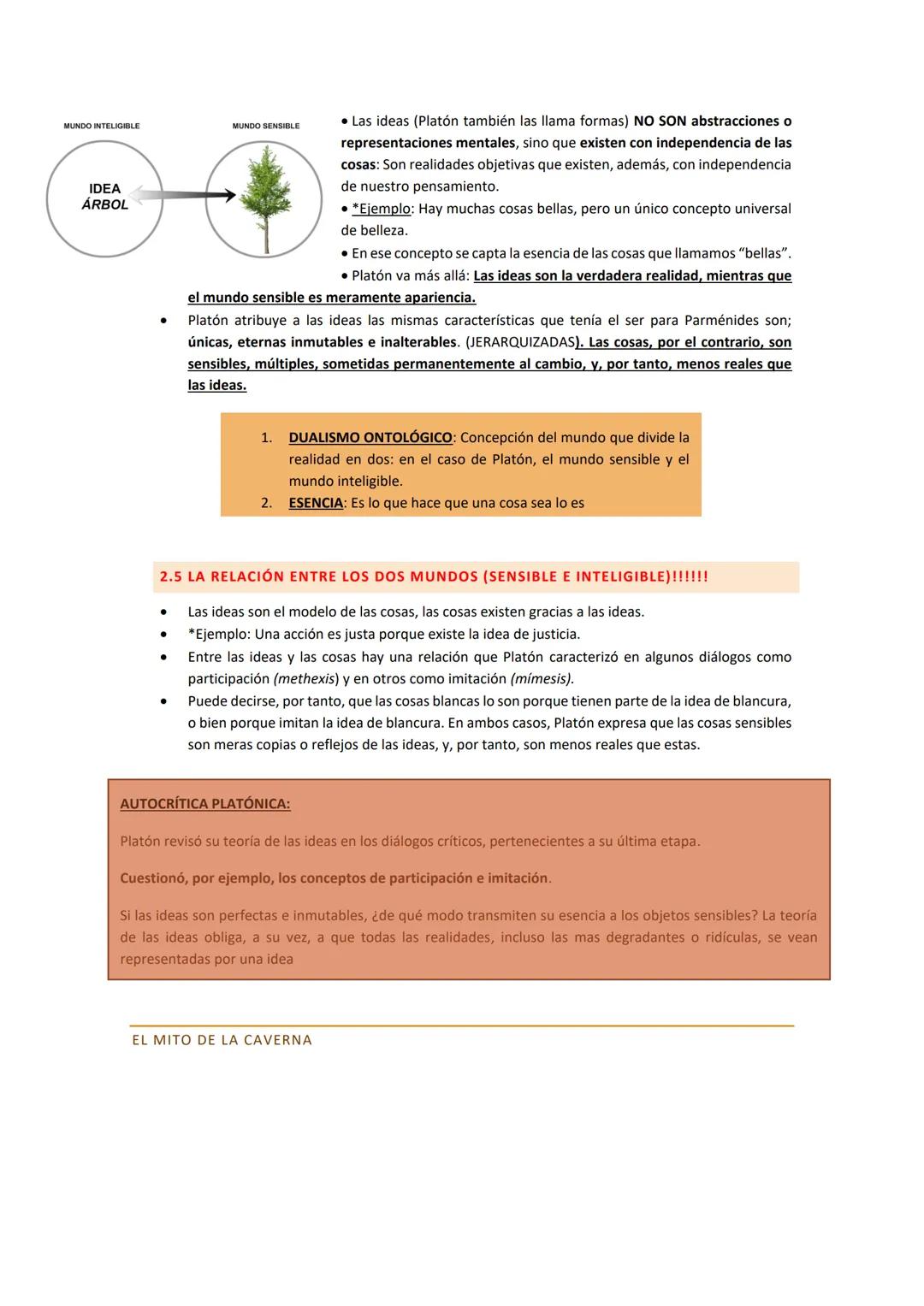 # TEMAS 1 Y 2
FILOSOFÍA – 1º PARCIAL
Sara Riesgo Antuña
CODEMA # TEMA 1: EL ORIGEN DE LA FILOSOFÍA
1.1 GRECIA LA CUNA DE LA FILOSOFÍA OC