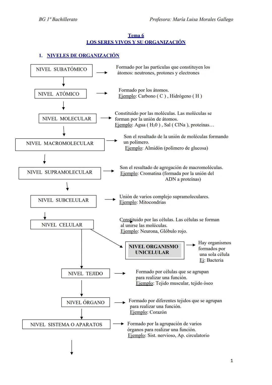 Los seres vivos, su organización, biomoleculas, glúcidos, lípidos, proteínas etc