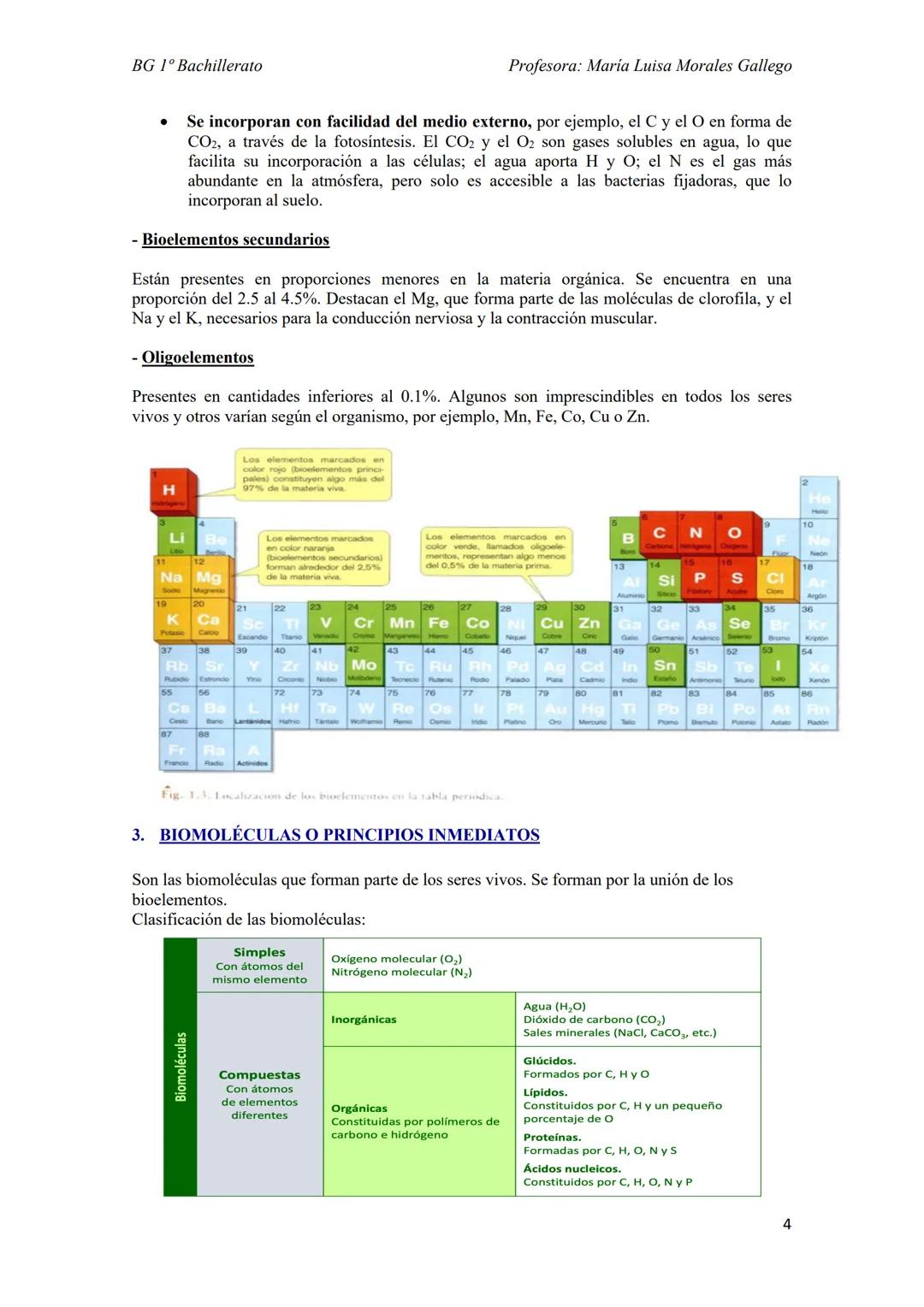 --- OCR Start ---
BG 1º Bachillerato
Profesora: Maria Luisa Morales Gallego
Tema 6
LOS SERES VIVOS Y SU ORGANIZACIÓN
1. NIVELES DE ORGANIZAC
