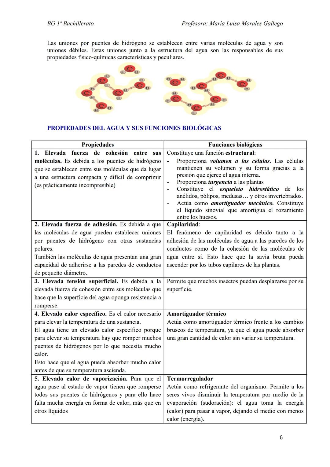 --- OCR Start ---
BG 1º Bachillerato
Profesora: Maria Luisa Morales Gallego
Tema 6
LOS SERES VIVOS Y SU ORGANIZACIÓN
1. NIVELES DE ORGANIZAC