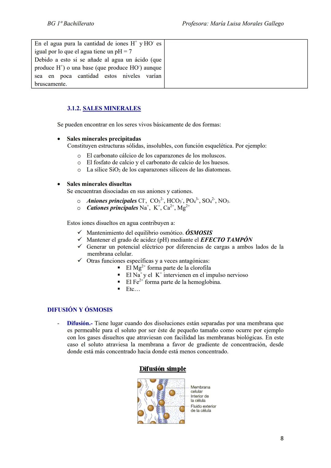 --- OCR Start ---
BG 1º Bachillerato
Profesora: Maria Luisa Morales Gallego
Tema 6
LOS SERES VIVOS Y SU ORGANIZACIÓN
1. NIVELES DE ORGANIZAC