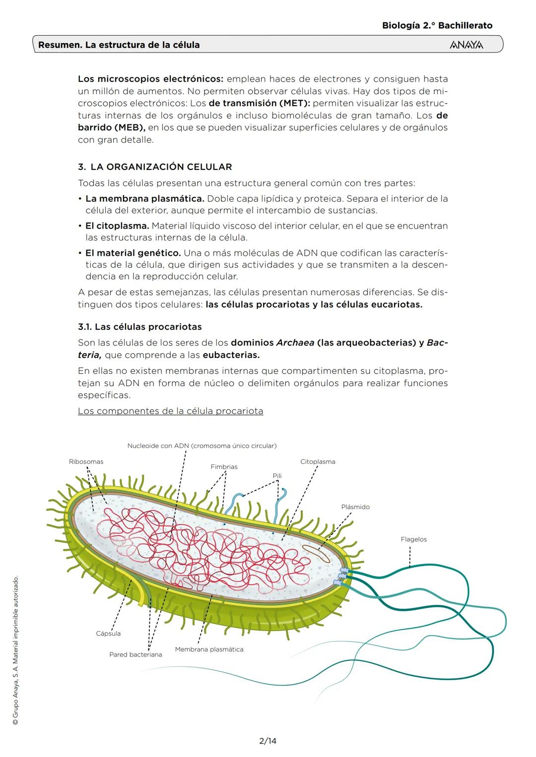 --- OCR Start ---
Grupo Anaya, S. A. Material imprimible autorizado.
Resumen. La estructura de la célula
Biología 2.º Bachillerato
ANAYA
1.