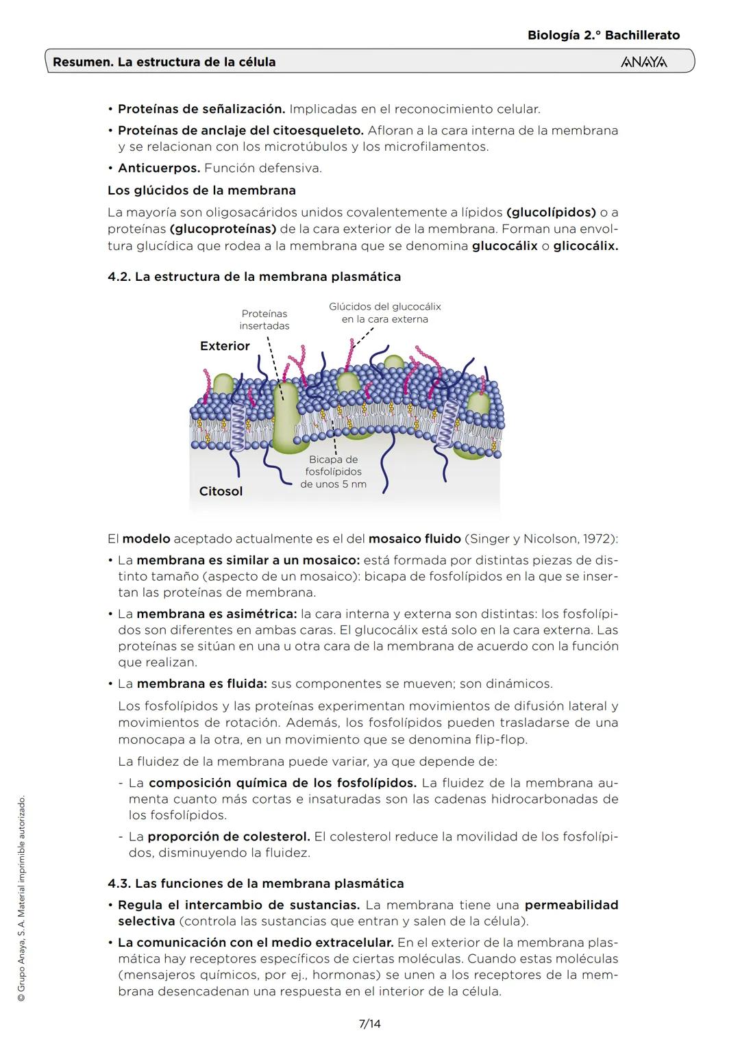 --- OCR Start ---
Grupo Anaya, S. A. Material imprimible autorizado.
Resumen. La estructura de la célula
Biología 2.º Bachillerato
ANAYA
1.