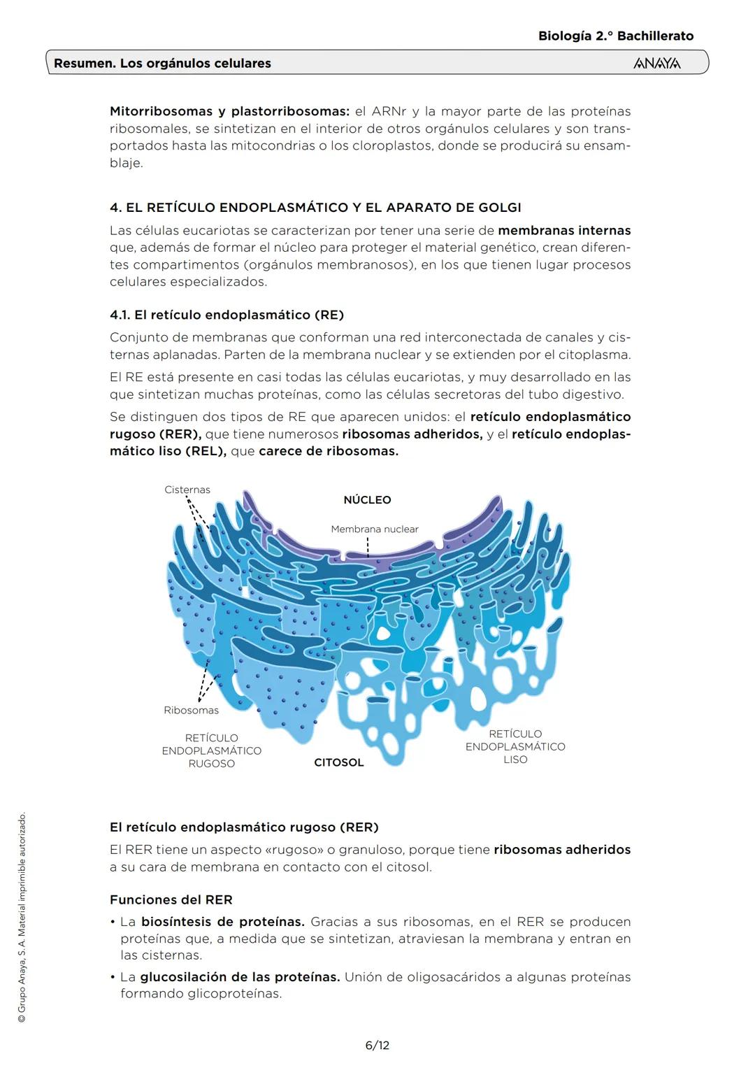 # Resumen. Los orgánulos celulares
Biología 2.º Bachillerato
ANAYA
1. EL CITOPLASMA Y EL CITOSOL
El citoplasma (interior de la célula) es