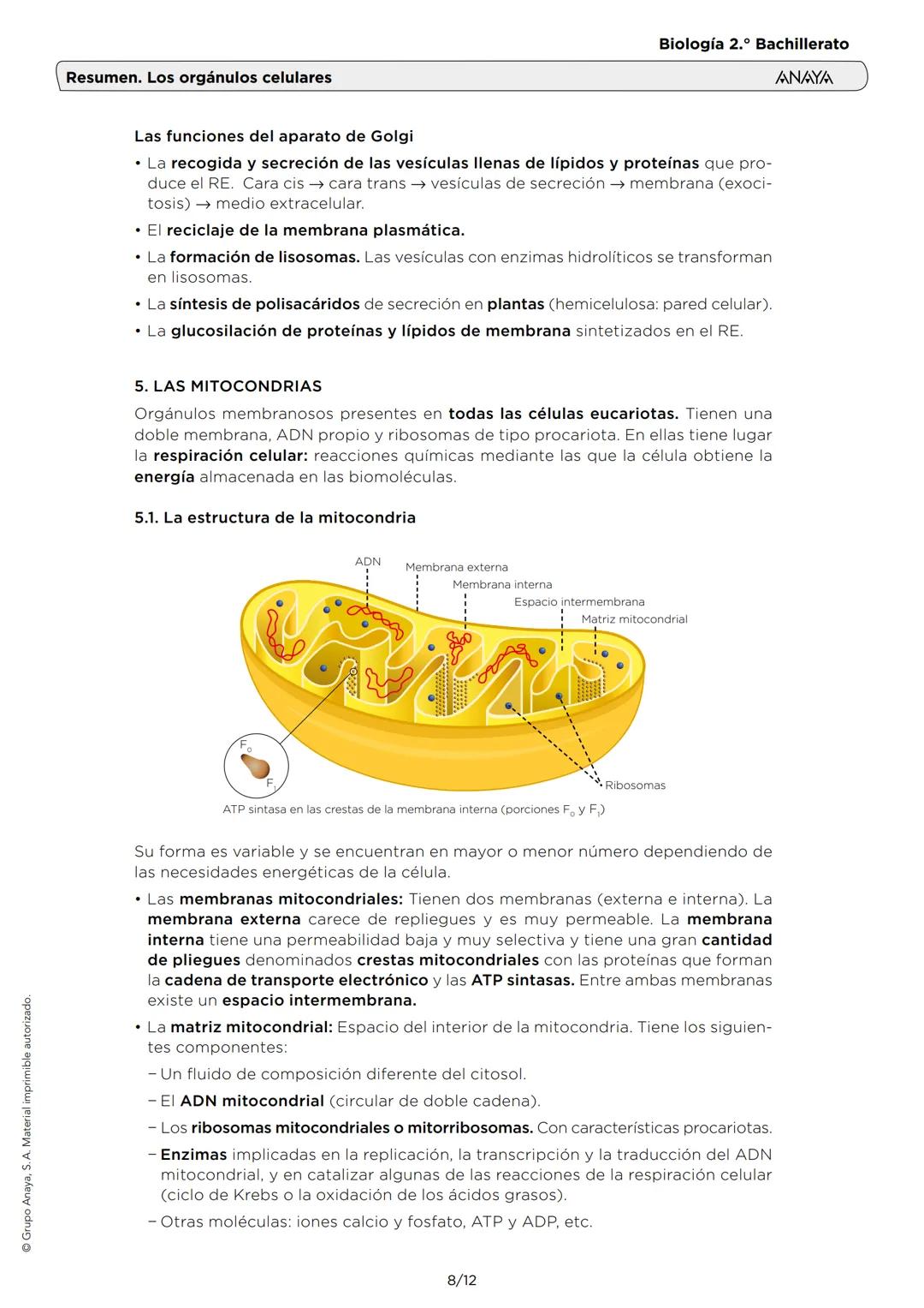 # Resumen. Los orgánulos celulares
Biología 2.º Bachillerato
ANAYA
1. EL CITOPLASMA Y EL CITOSOL
El citoplasma (interior de la célula) es
