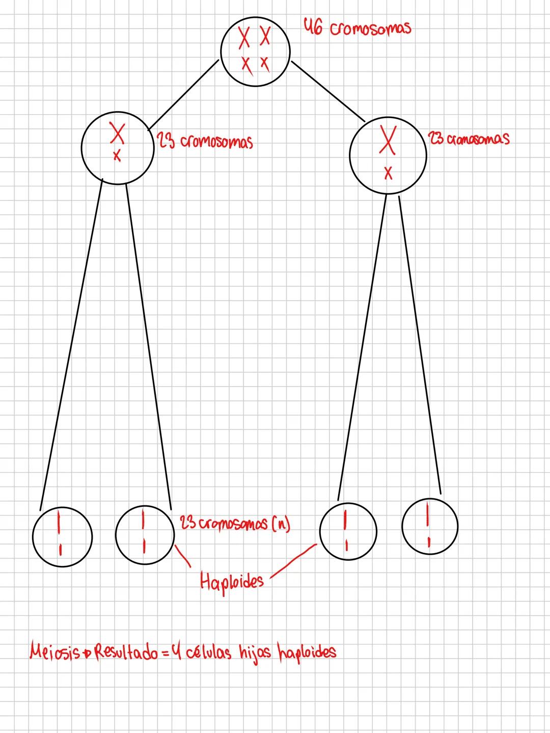 --- OCR Start ---
Biología
POSTULADOS DE LATEORÍA CELULAR
1-Célula unidad estructural:todos los seres vivos están formados por 1 o
más celul