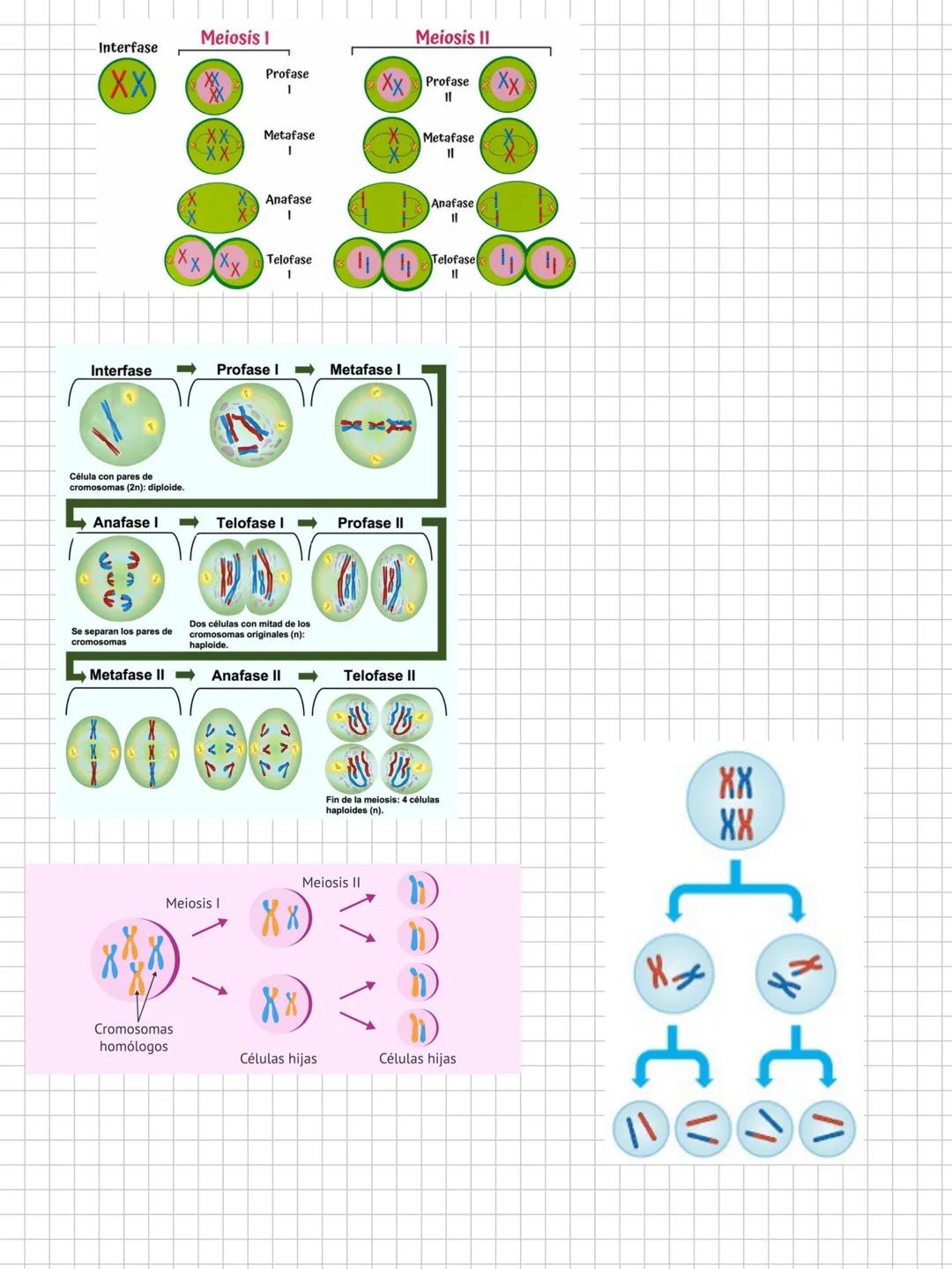 --- OCR Start ---
Biología
POSTULADOS DE LATEORÍA CELULAR
1-Célula unidad estructural:todos los seres vivos están formados por 1 o
más celul