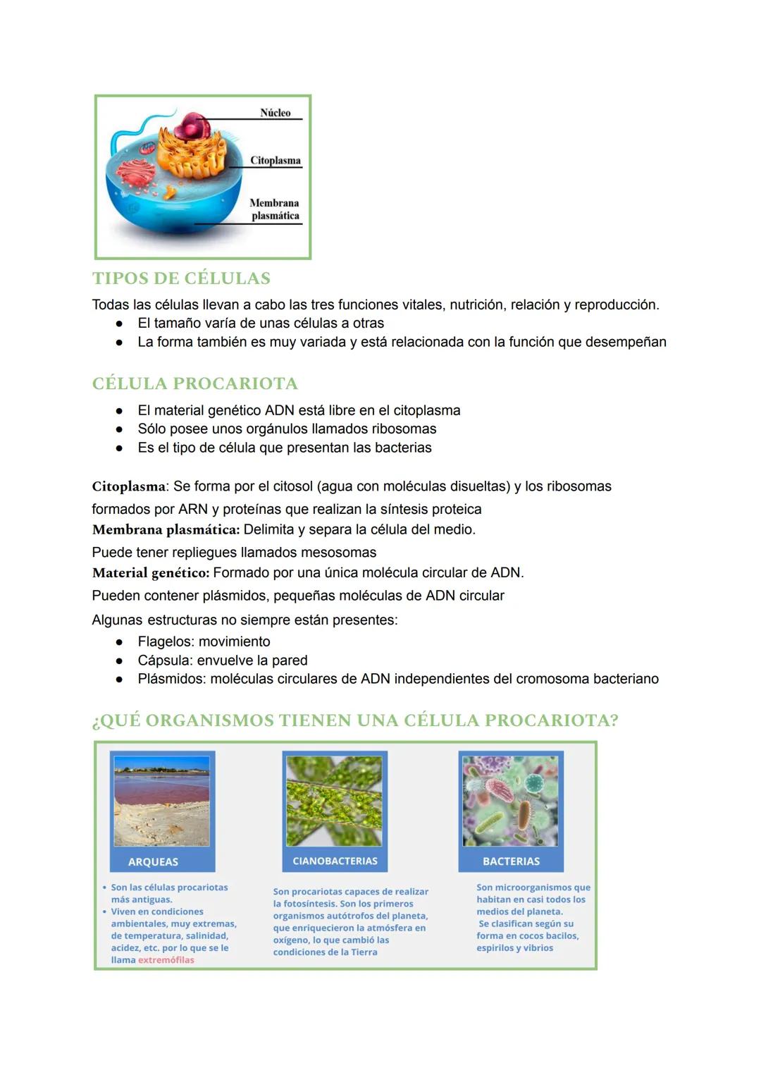 # TEMA 4: LA CÉLULA
## ¿QUÉ ES UNA CÉLULA?
Una célula es la unidad más pequeña de un ser vivo. Es la unidad fundamental de todos los
organ