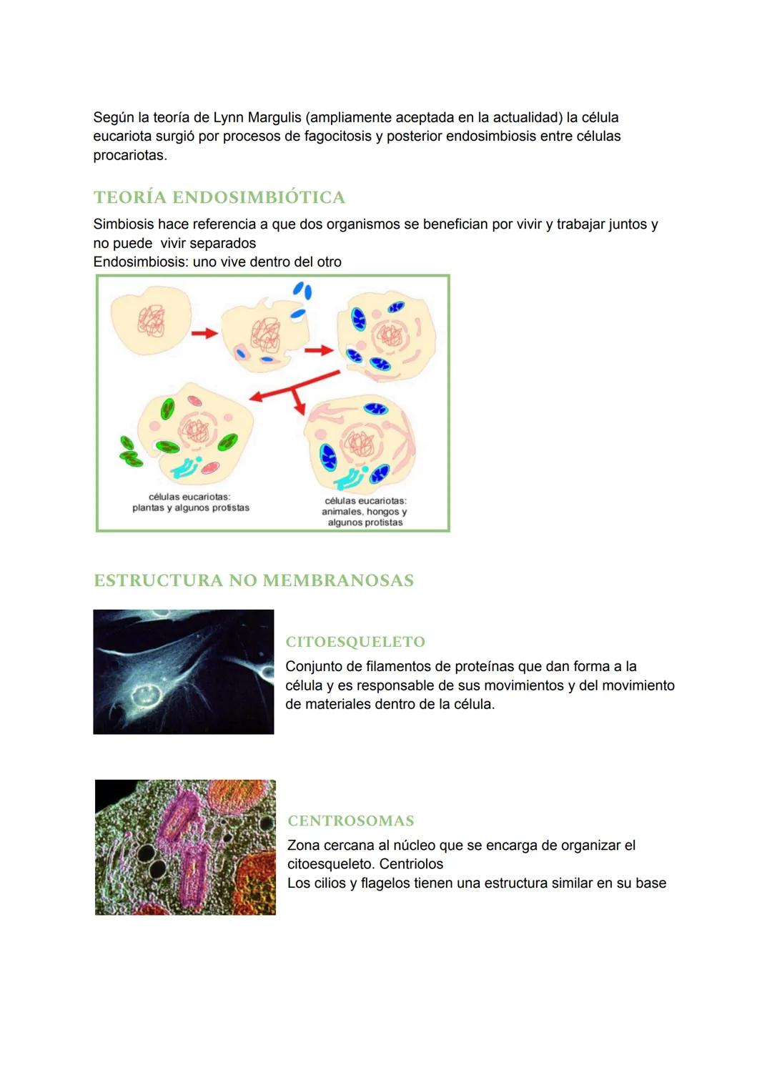 # TEMA 4: LA CÉLULA
## ¿QUÉ ES UNA CÉLULA?
Una célula es la unidad más pequeña de un ser vivo. Es la unidad fundamental de todos los
organ