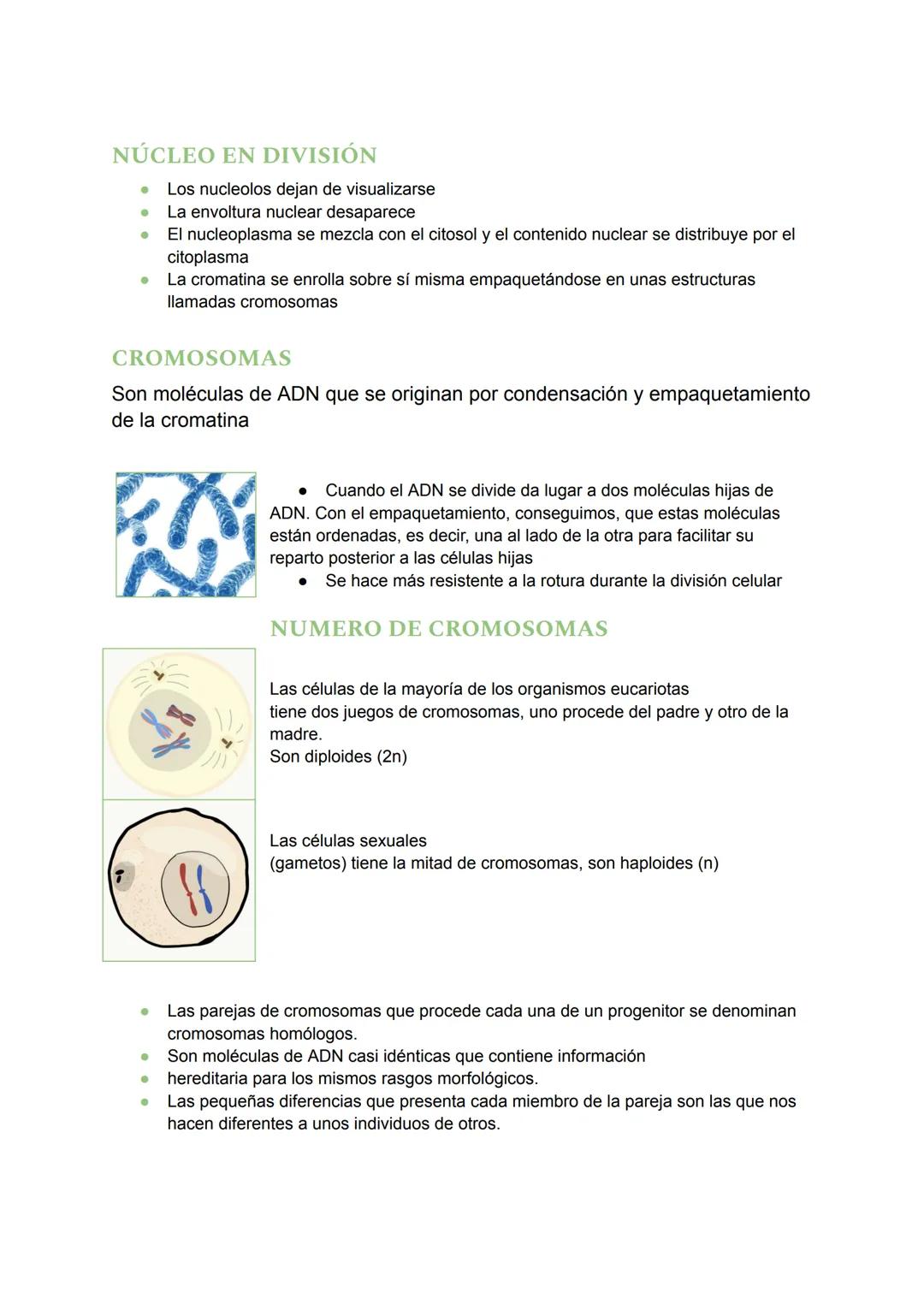# LA REPRODUCCIÓN CELULAR
¿QUÉ ES LA REPRODUCCIÓN?
La reproducción es el proceso por el cual los seres vivos dan lugar a nuevos individuos