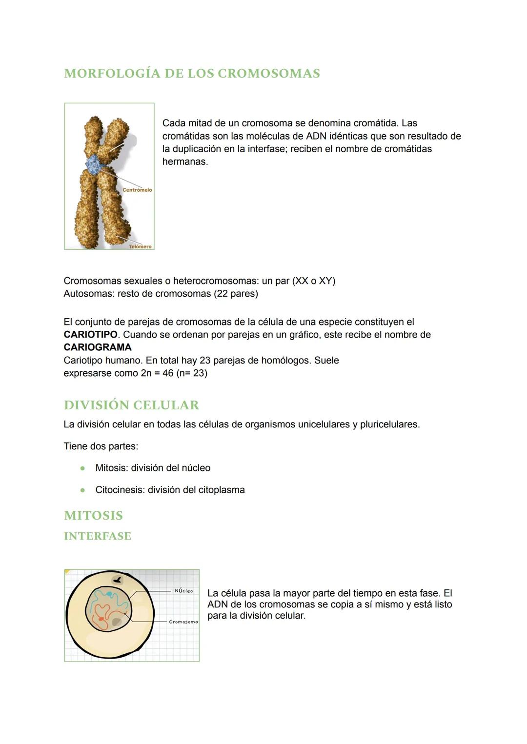 # LA REPRODUCCIÓN CELULAR
¿QUÉ ES LA REPRODUCCIÓN?
La reproducción es el proceso por el cual los seres vivos dan lugar a nuevos individuos