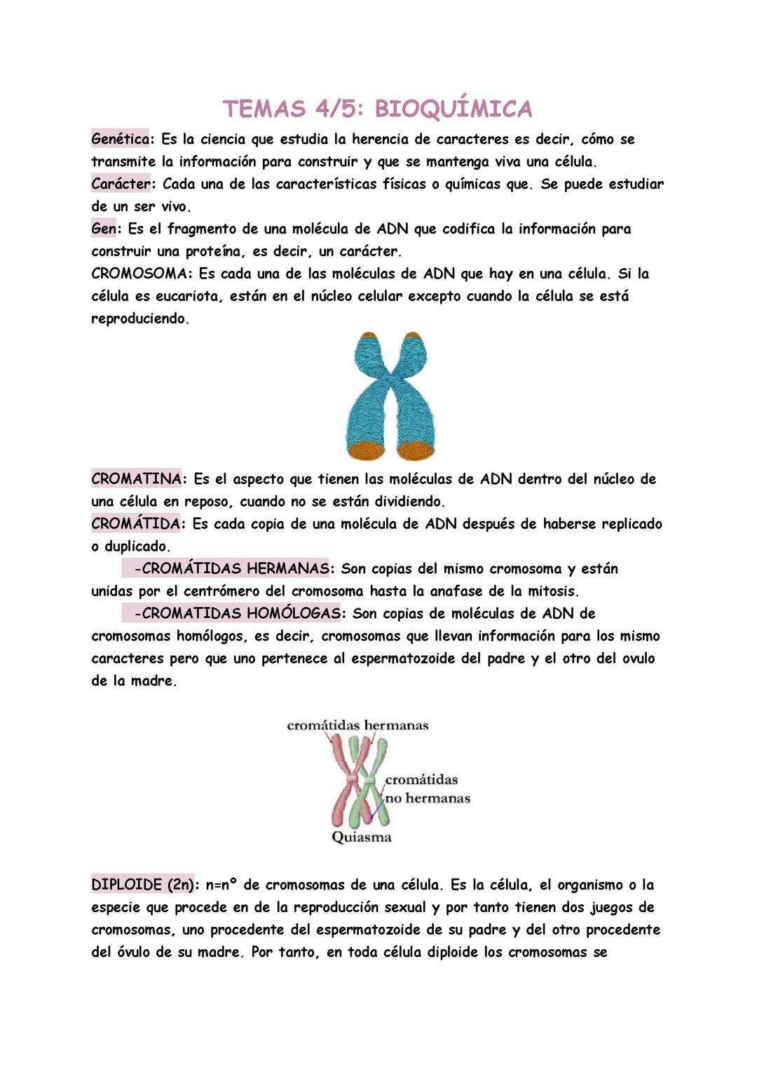 mitosis y meiosis 4º eso