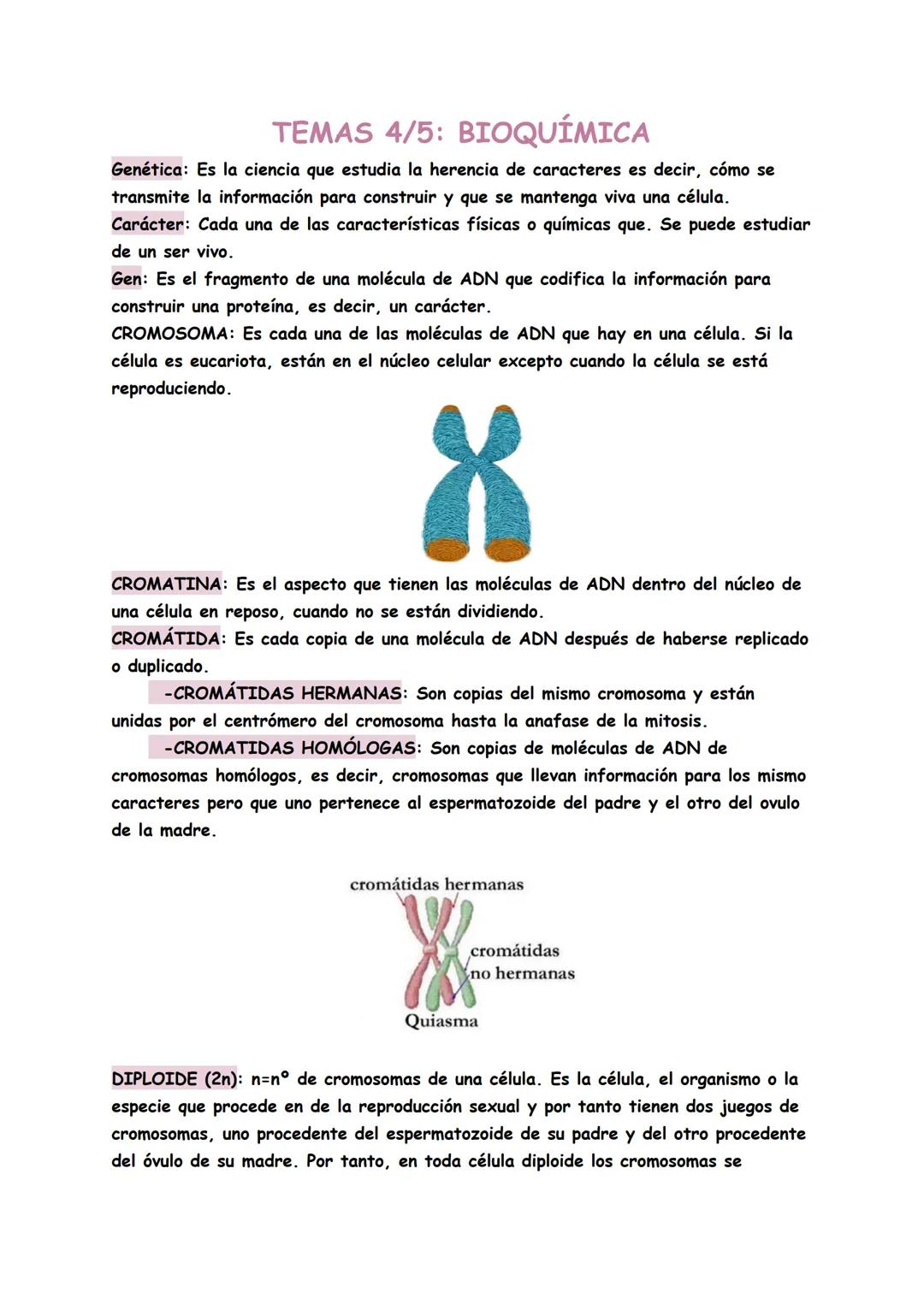 # TEMAS 4/5;: BIOQUÍMICA
Genética: Es la ciencia que estudia la herencia de caracteres es decir, cómo se
transmite la información para const
