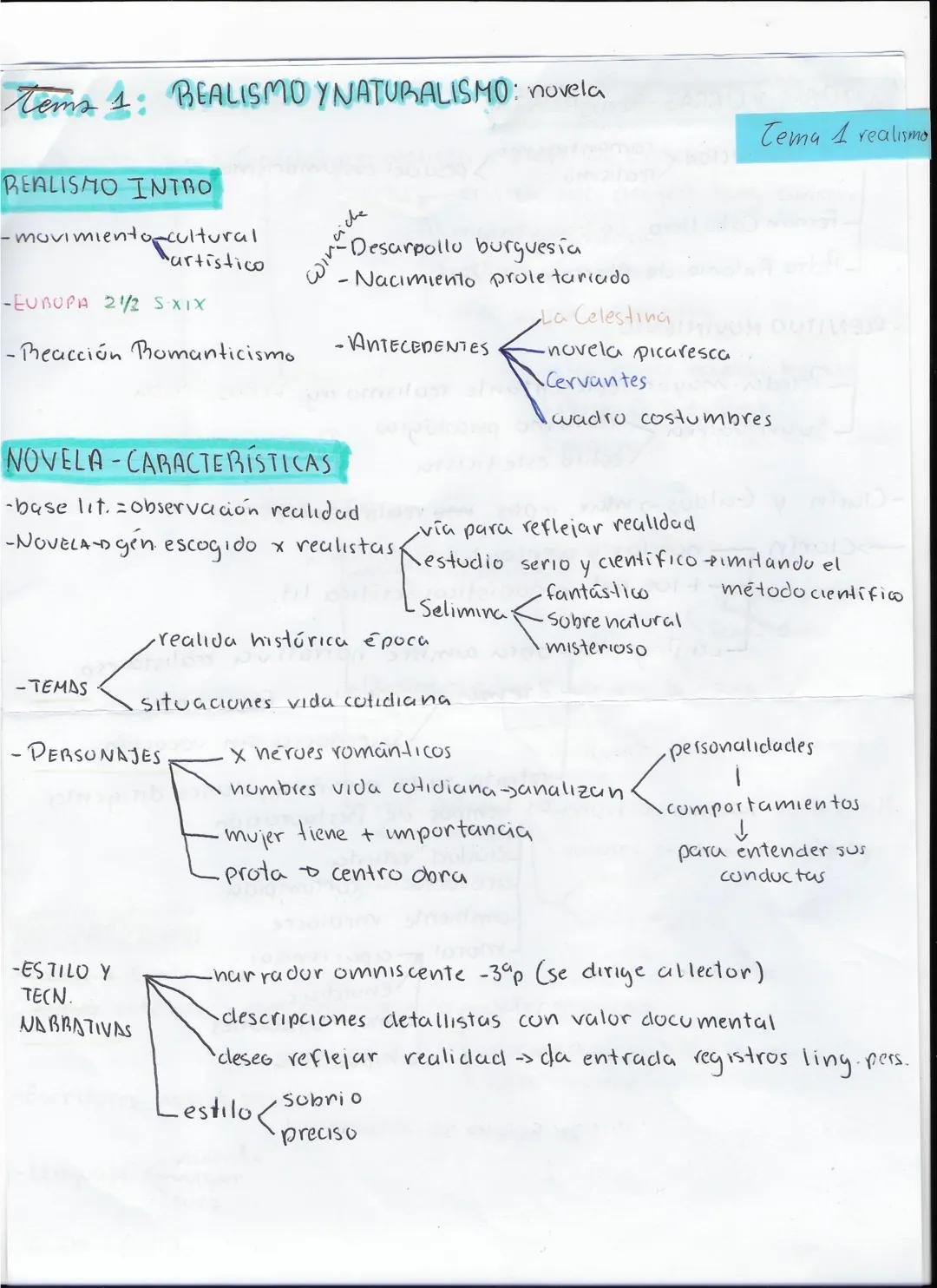 Tema 1 literatura: realismo y naturalismo: la novela. La poesía y teatro en la segunda mitad s.xix