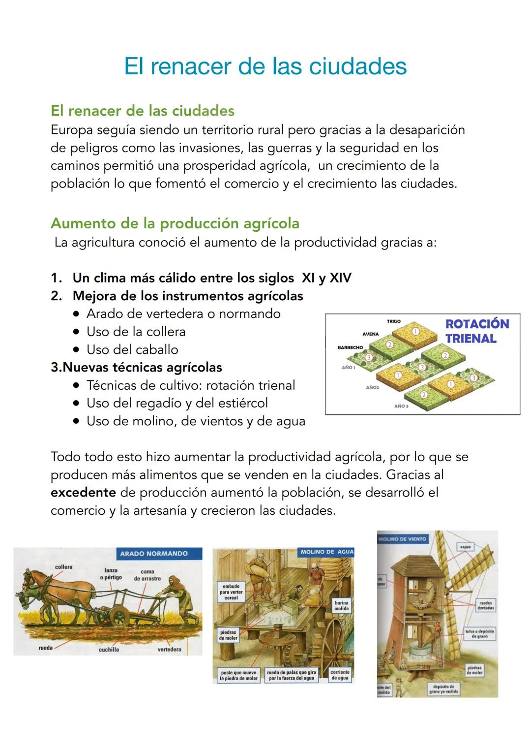 # El renacer de las ciudades
El renacer de las ciudades
Europa seguía siendo un territorio rural pero gracias a la desaparición
de peligros