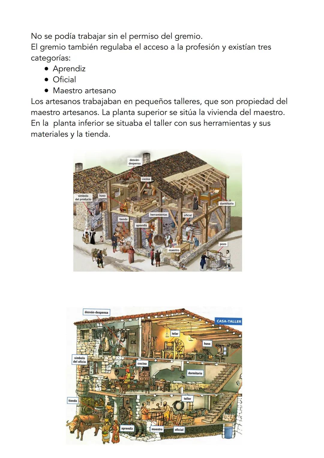 # El renacer de las ciudades
El renacer de las ciudades
Europa seguía siendo un territorio rural pero gracias a la desaparición
de peligros