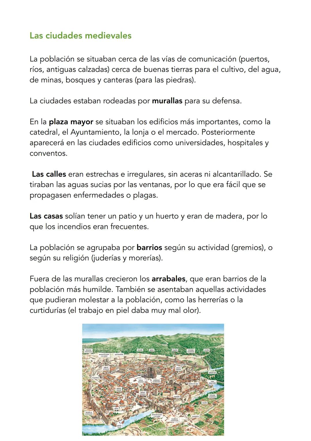 # El renacer de las ciudades
El renacer de las ciudades
Europa seguía siendo un territorio rural pero gracias a la desaparición
de peligros